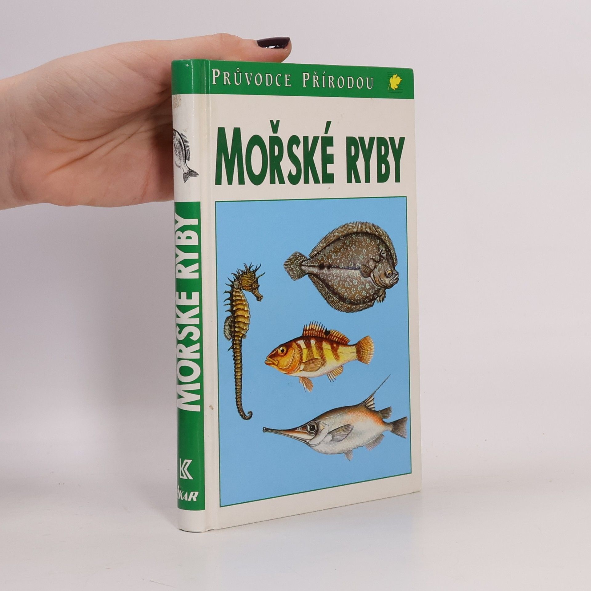 Sauer Frieder Mořské ryby v evropských vodách