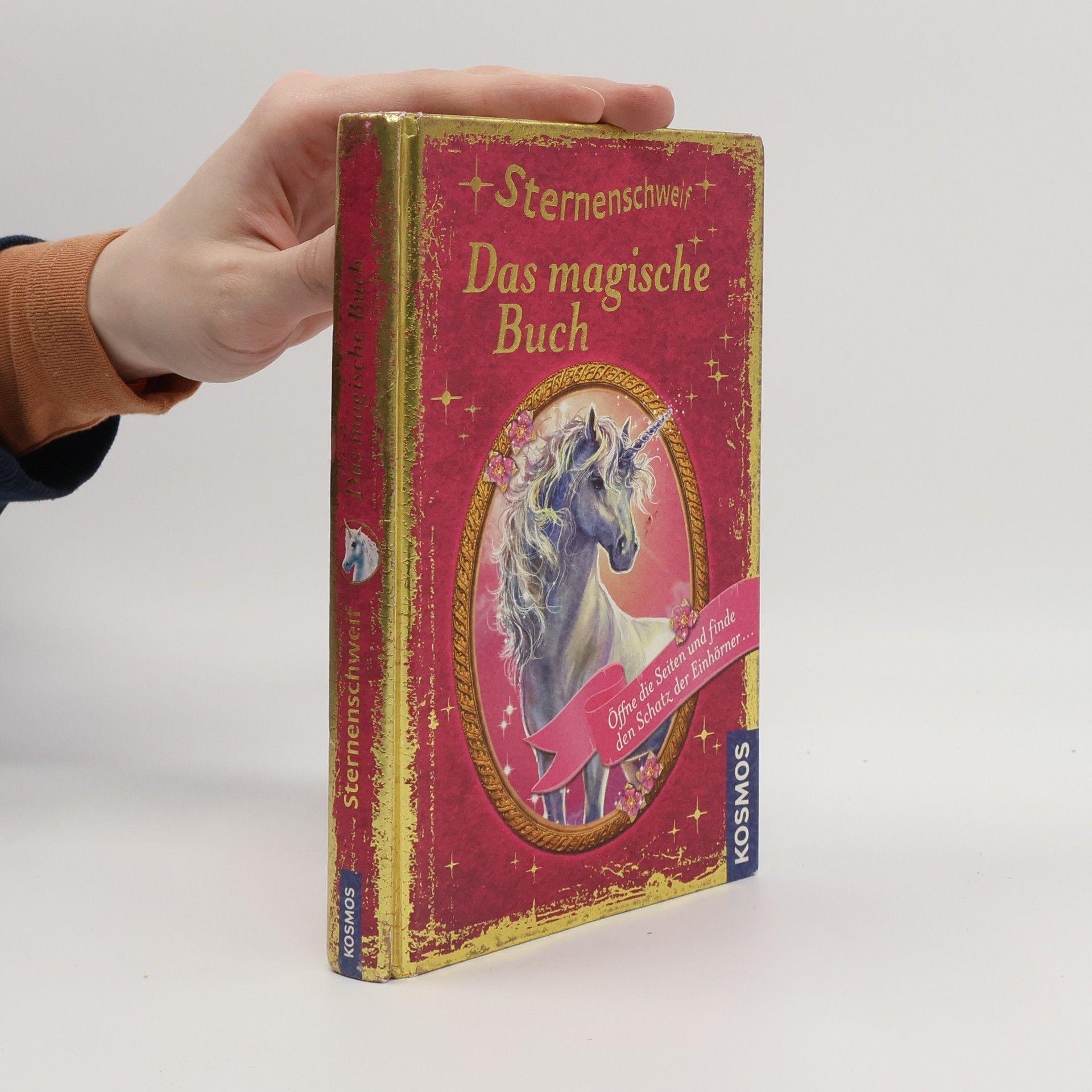 Carolin Ina Schröter Sternenschweif - das magische Buch