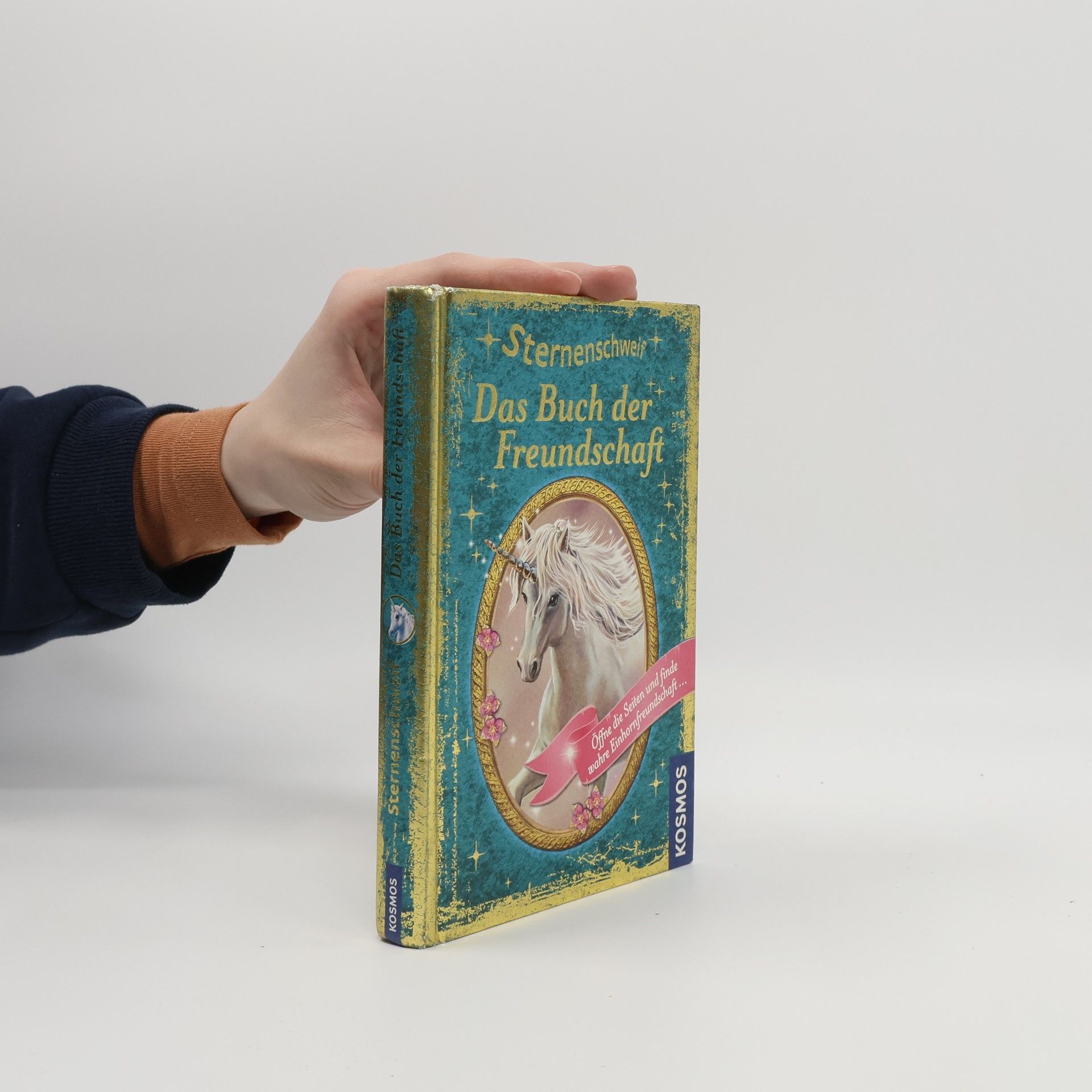 Linda Chapman Sternenschweif. Das Buch der Ferundschaft