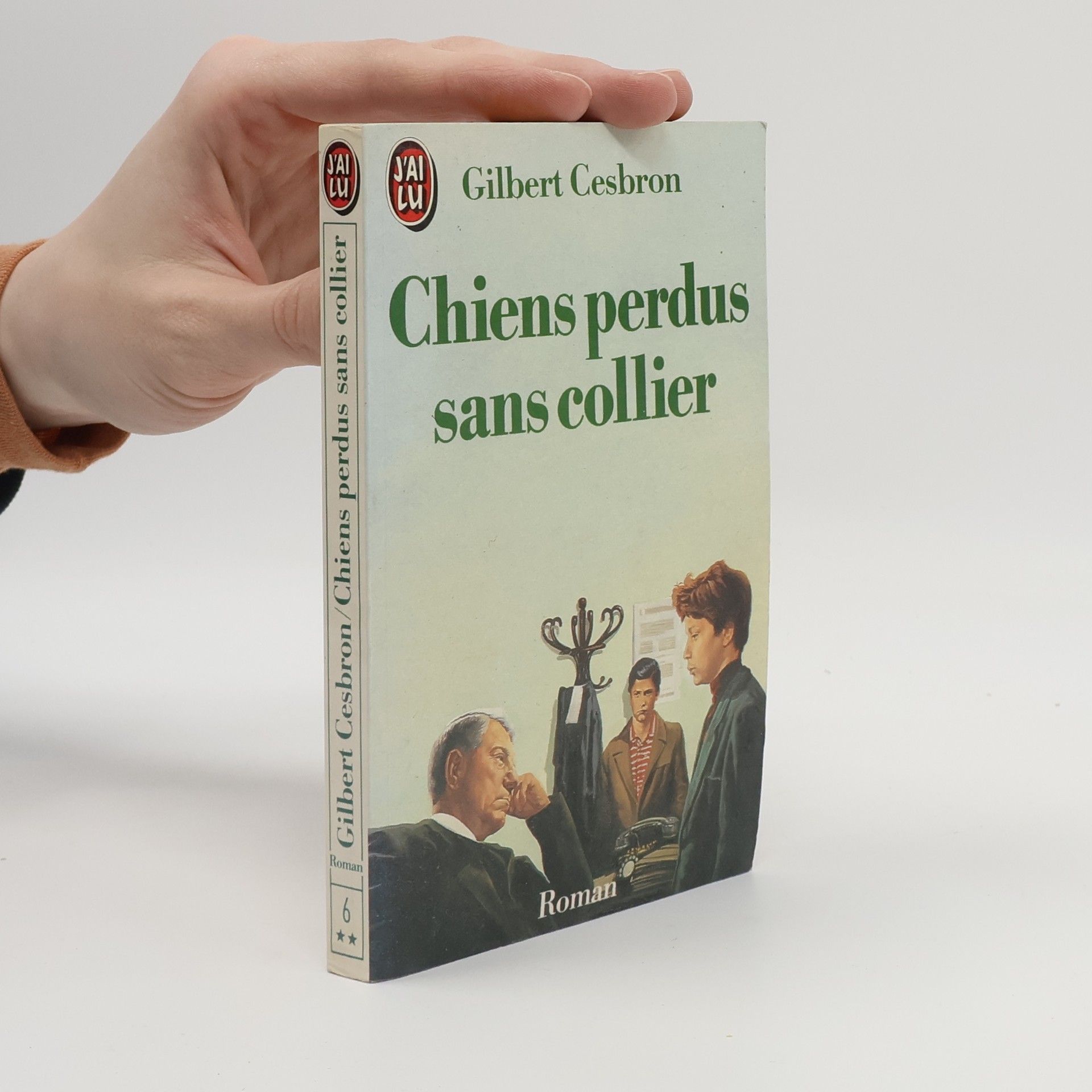 Chiens perdus sans collier