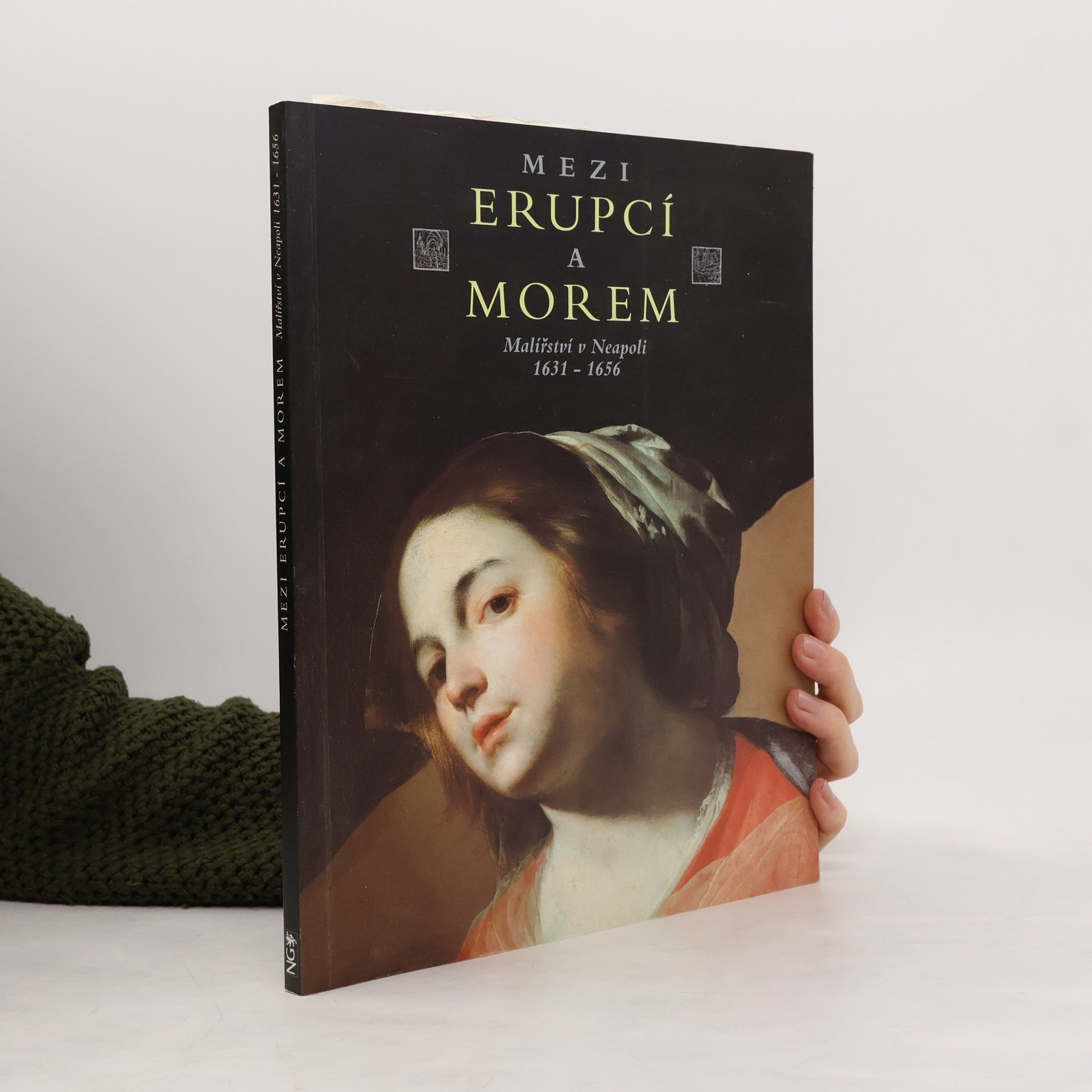 Ladislav Daniel Mezi erupcí a morem : malířství v Neapoli 1631-1656