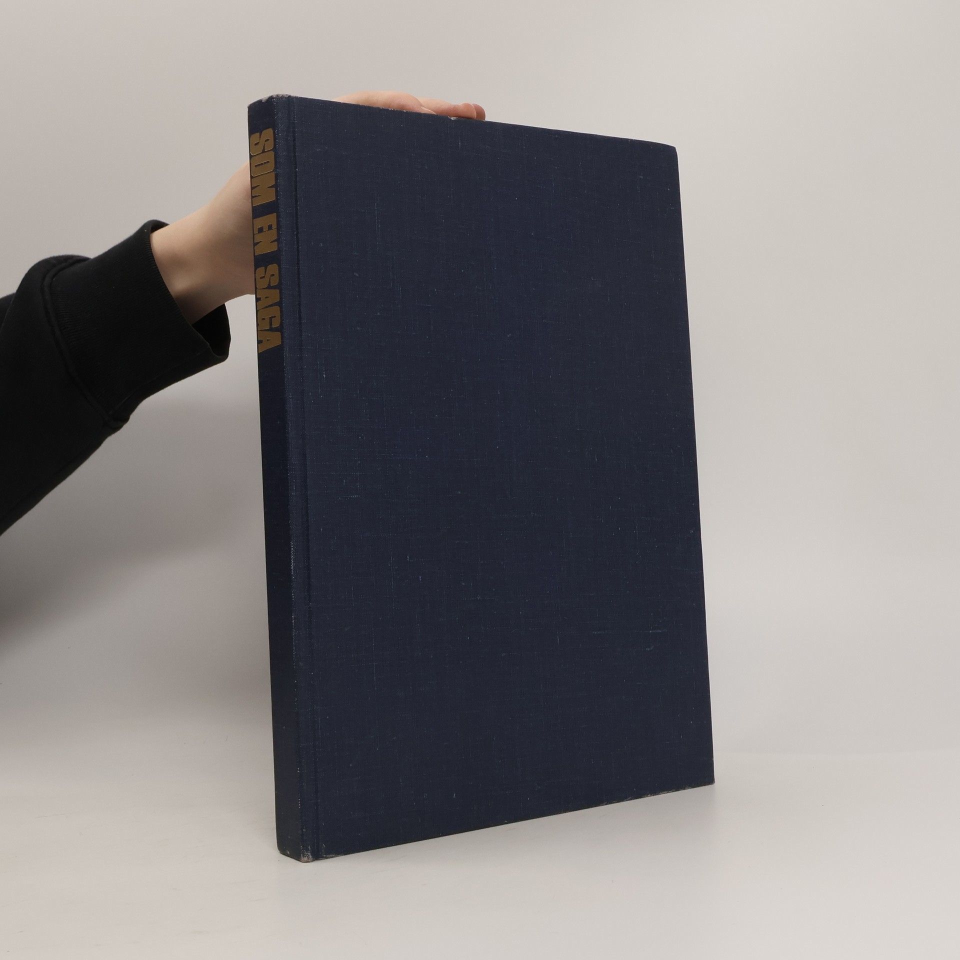 Kolektiv autorů Som en Saga