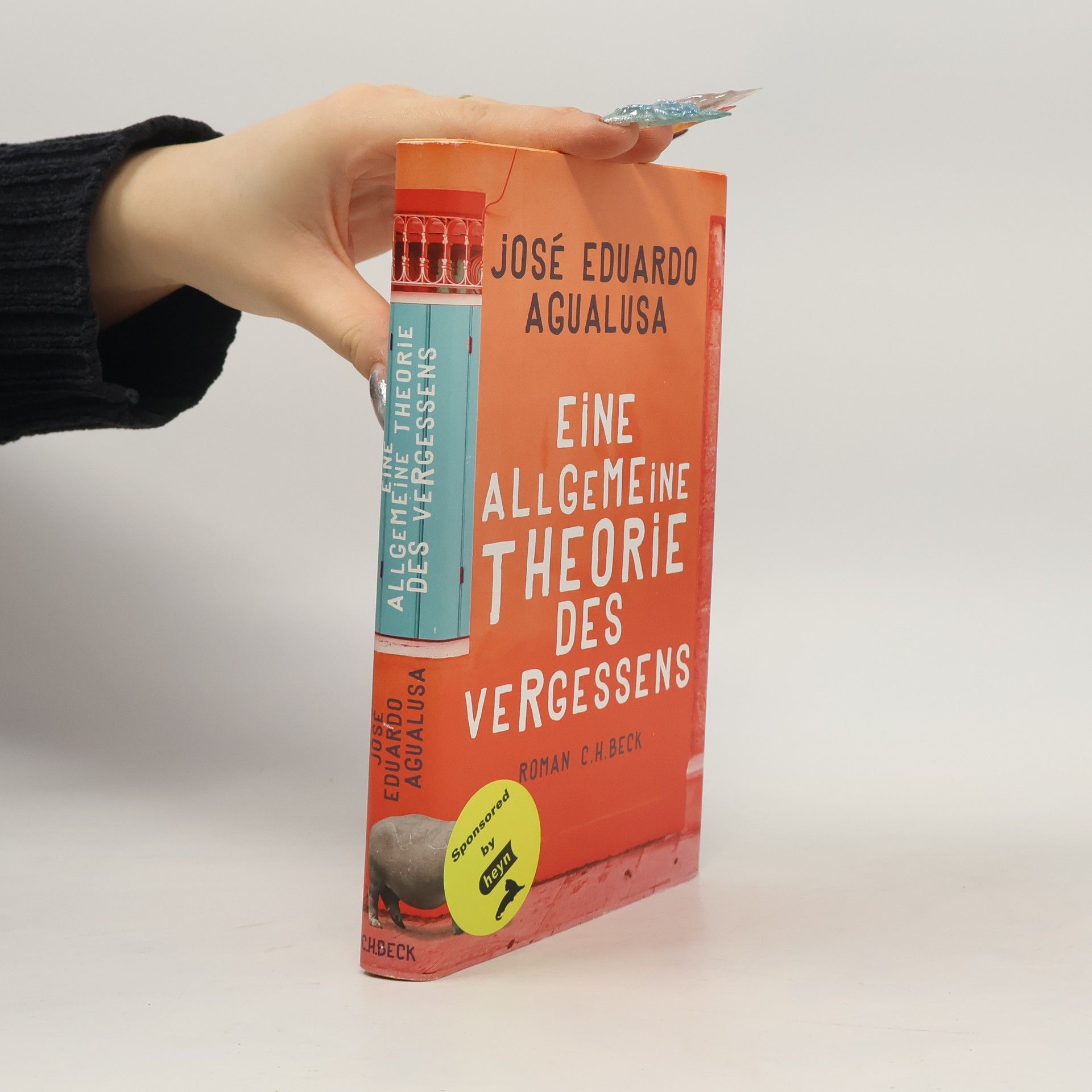 José Eduardo Agualusa Eine allgemeine Theorie des Vergessens