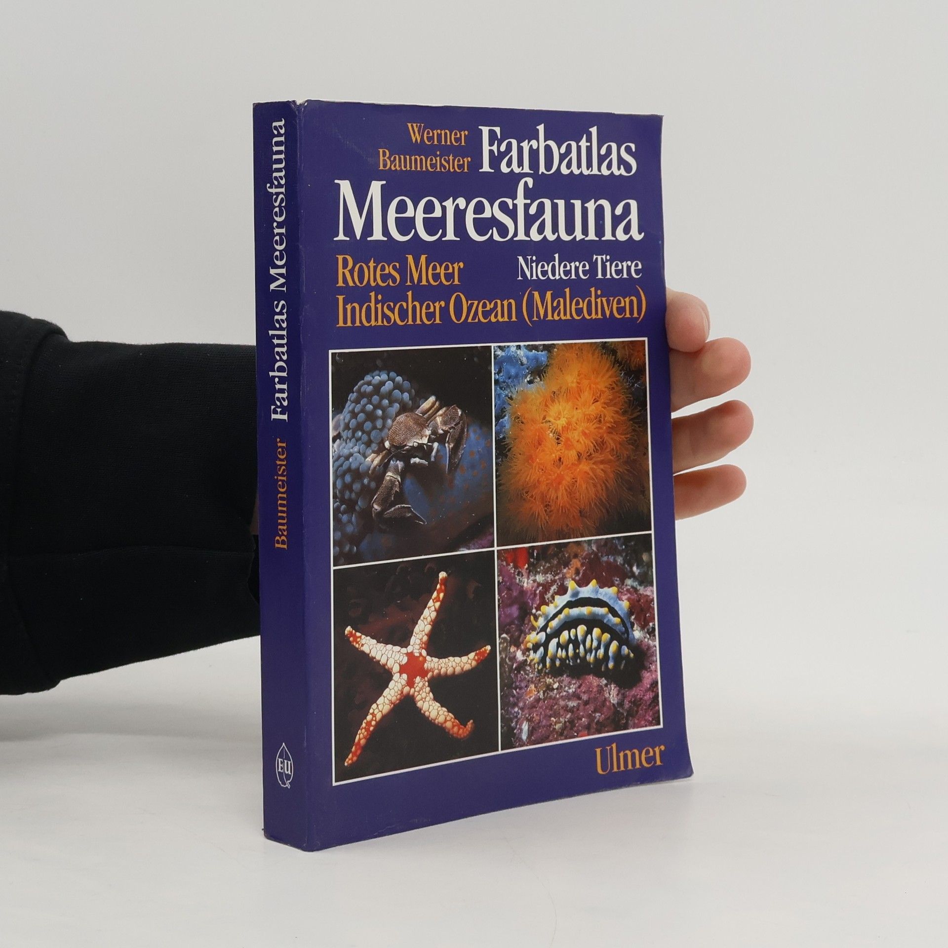 Werner Baumeister Farbatlas Meeresfauna
