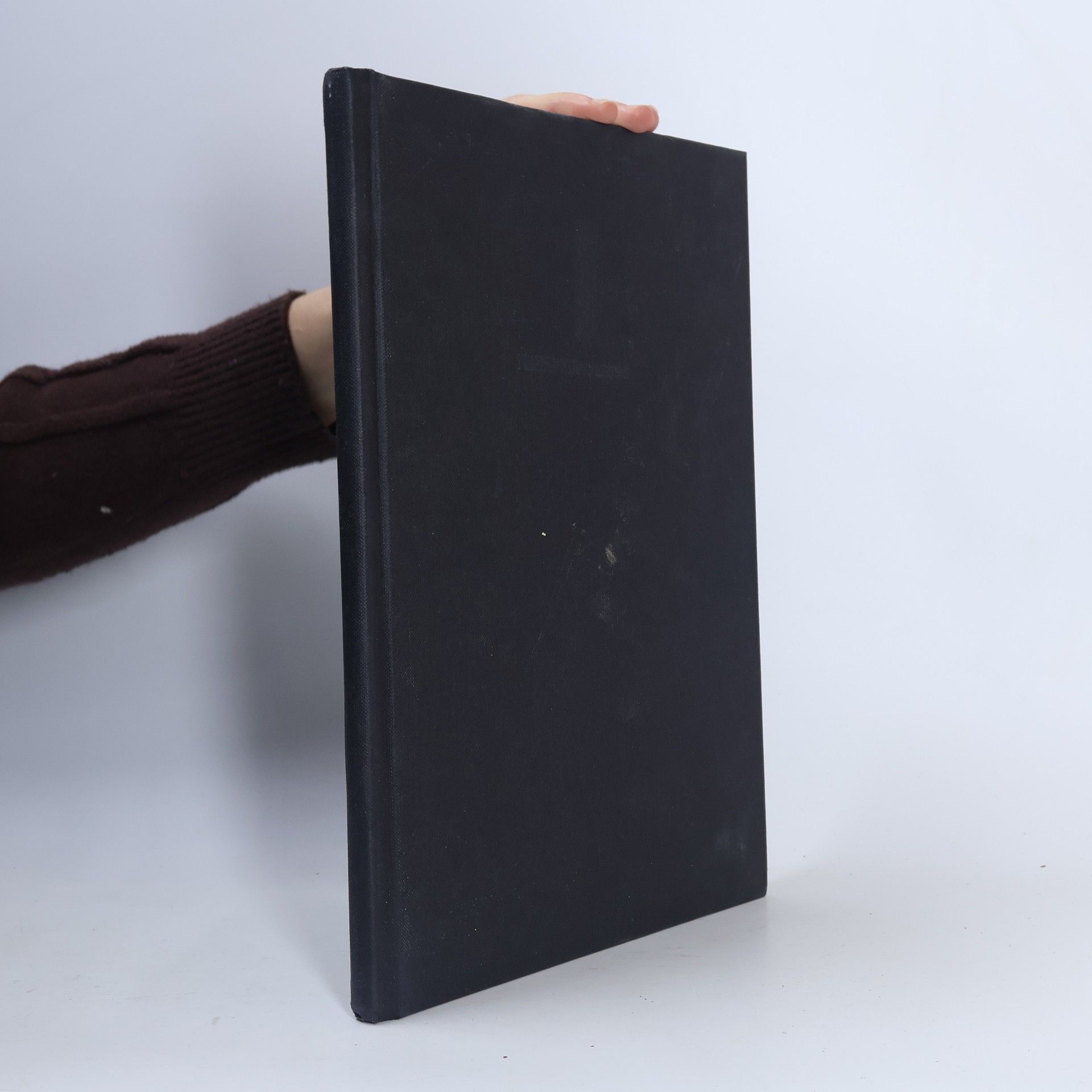 Frank Holzherr Wandlungen