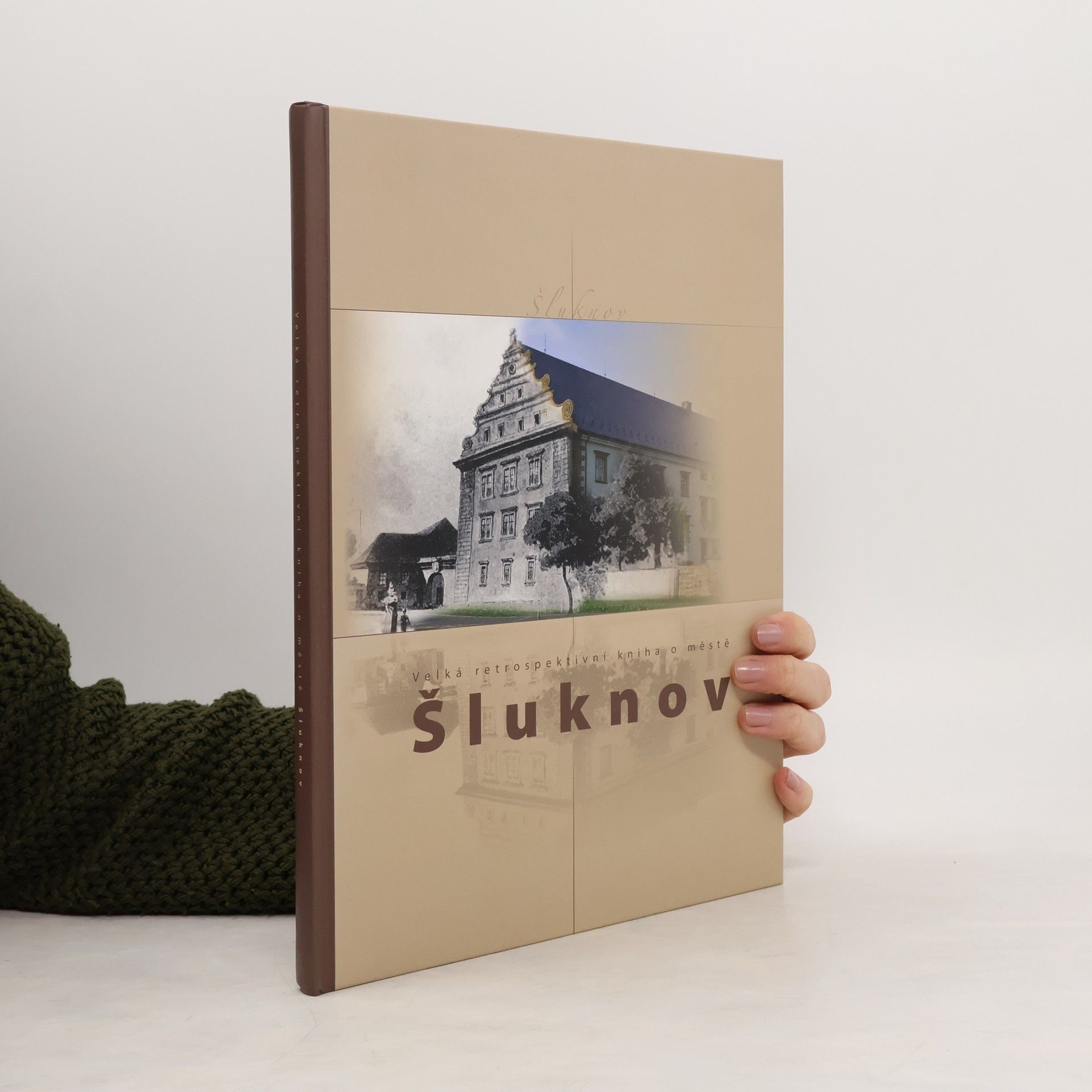 Various authors Velká retrospektivní kniha o městě Šluknov