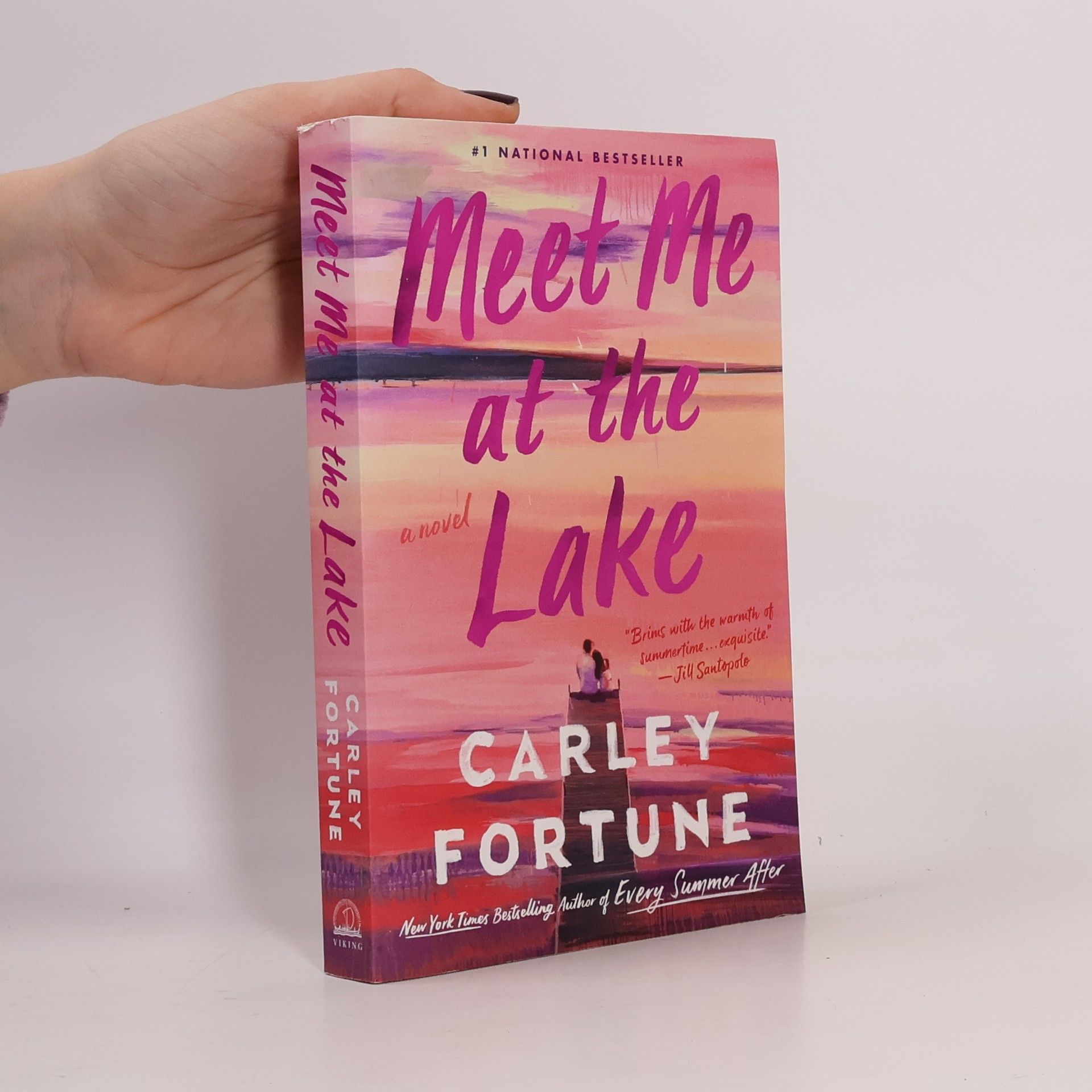 Carley Fortune Meet Me at the Lake