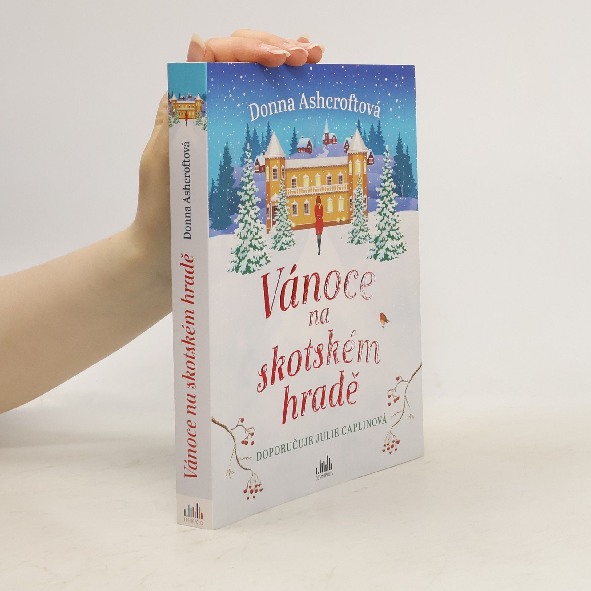 Donna Ashcroft Vánoce na skotském hradě