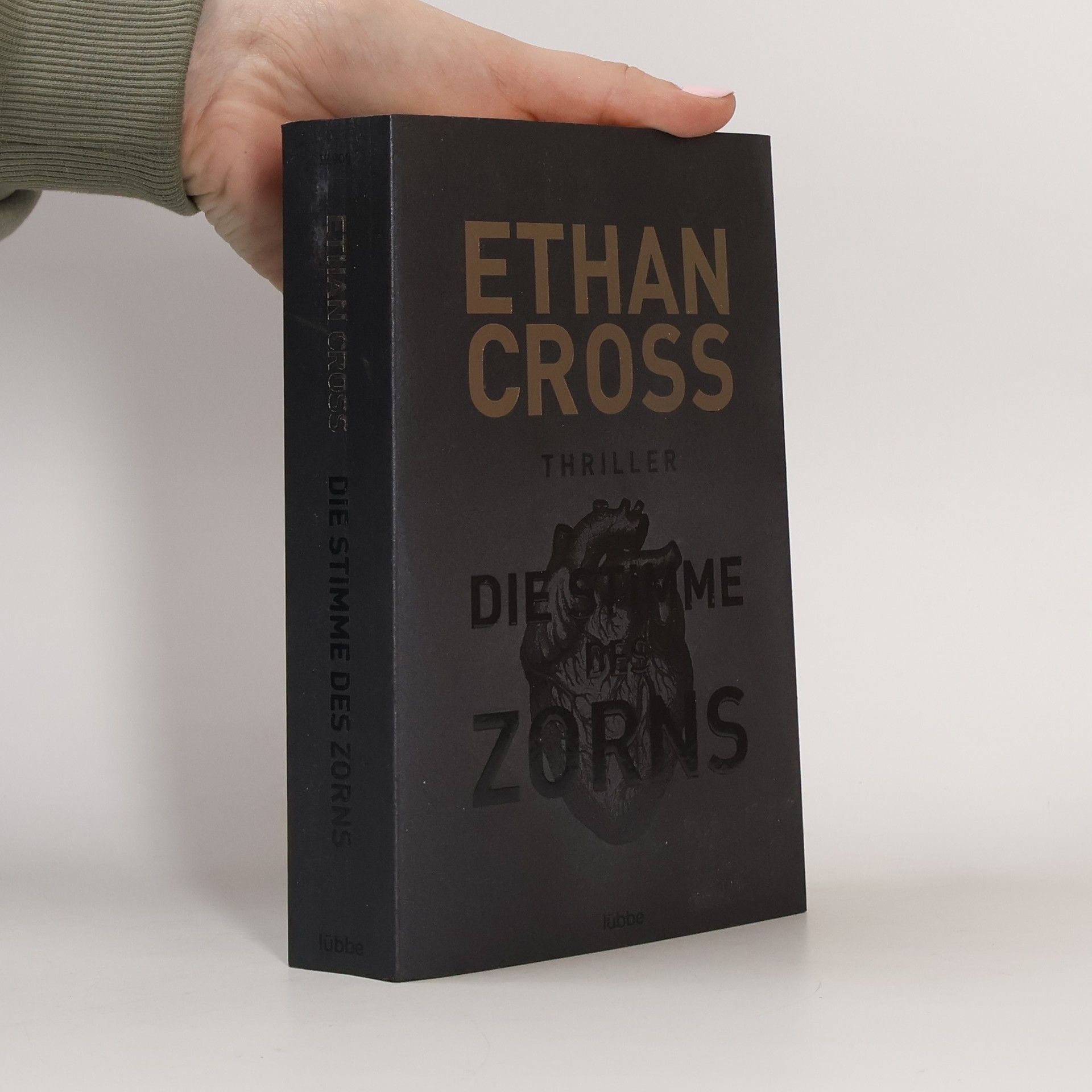 Ethan Cross Die Stimme des Zorns