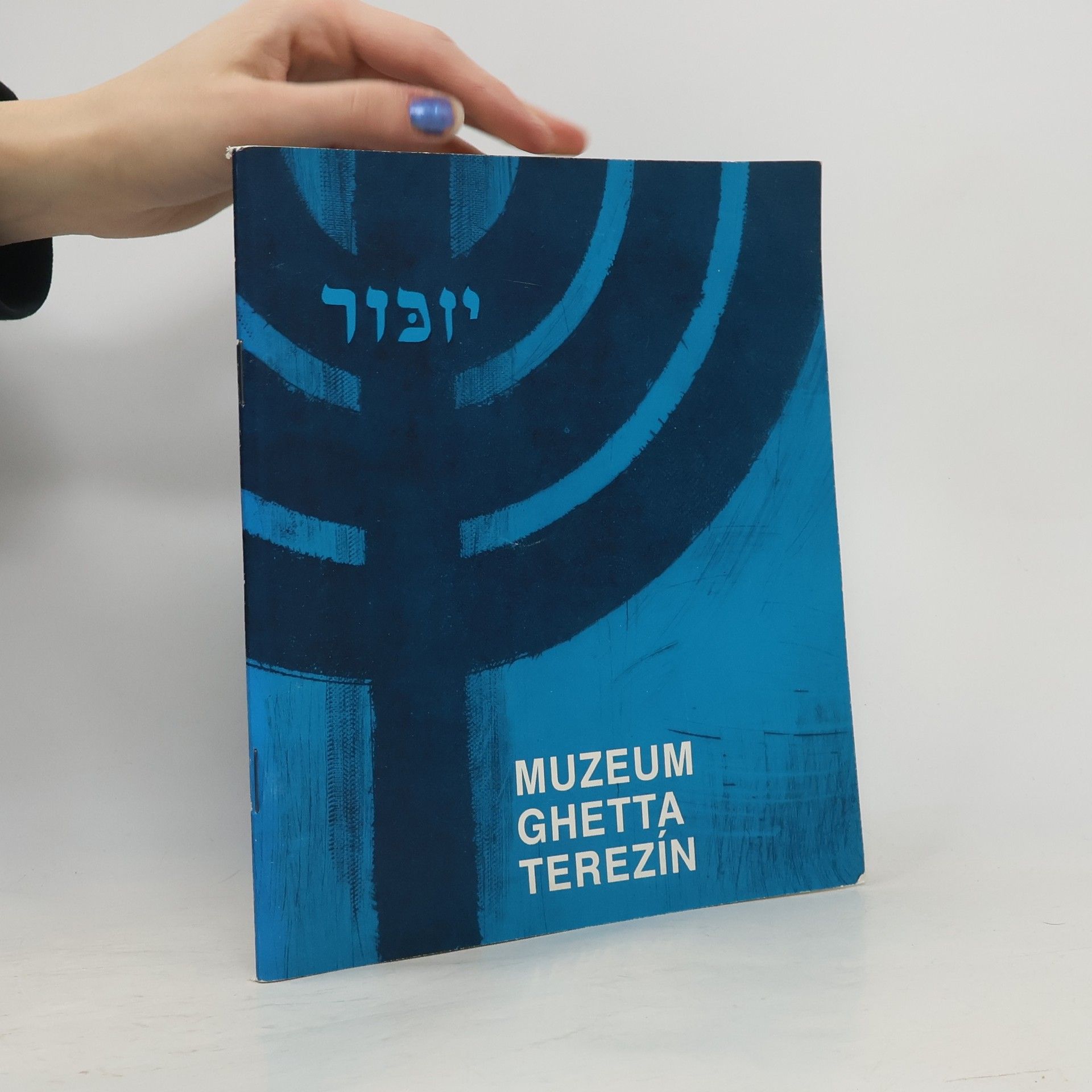 Collectif d'auteurs Muzeum ghetta Terezín