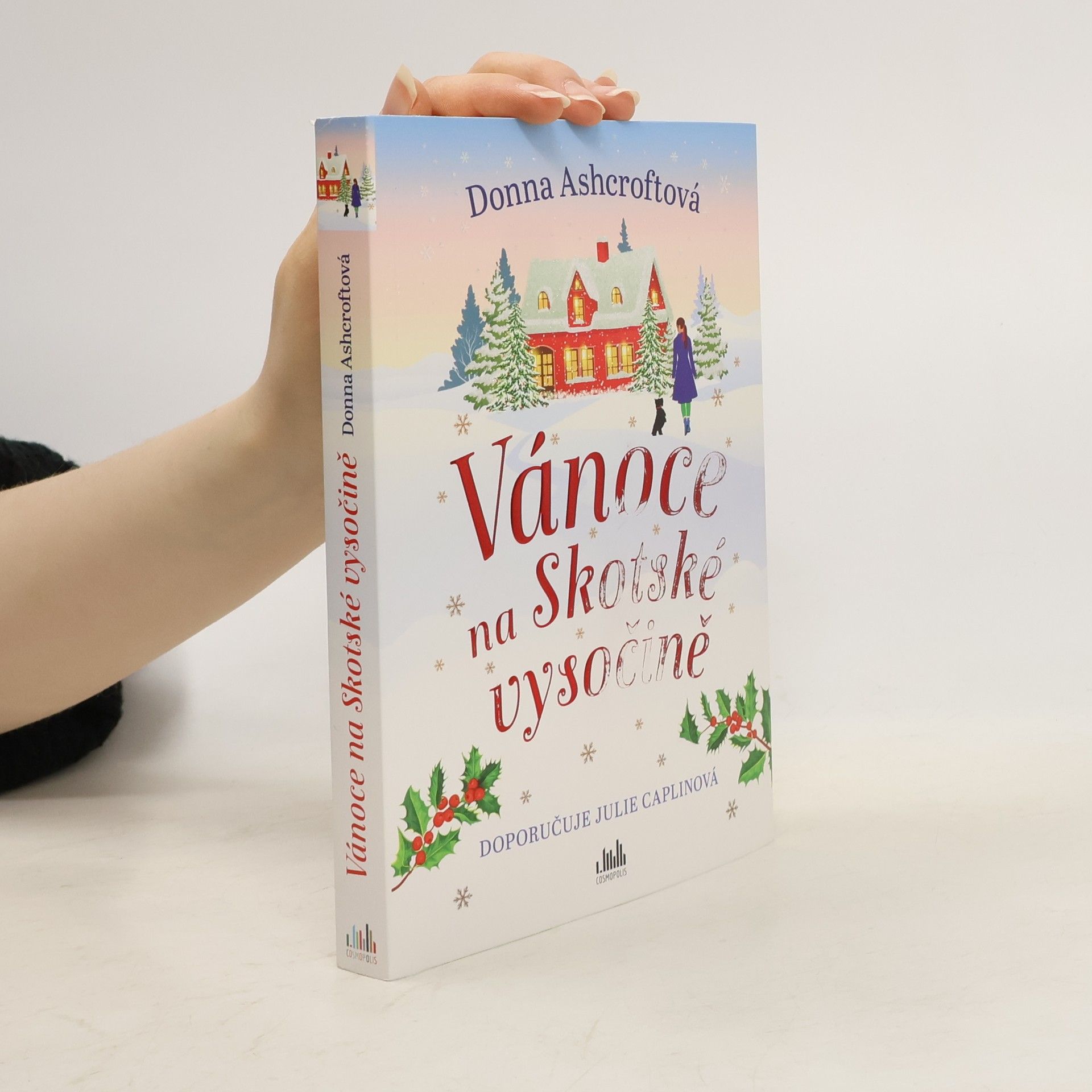 Donna Ashcroft Vánoce na Skotské vysočině