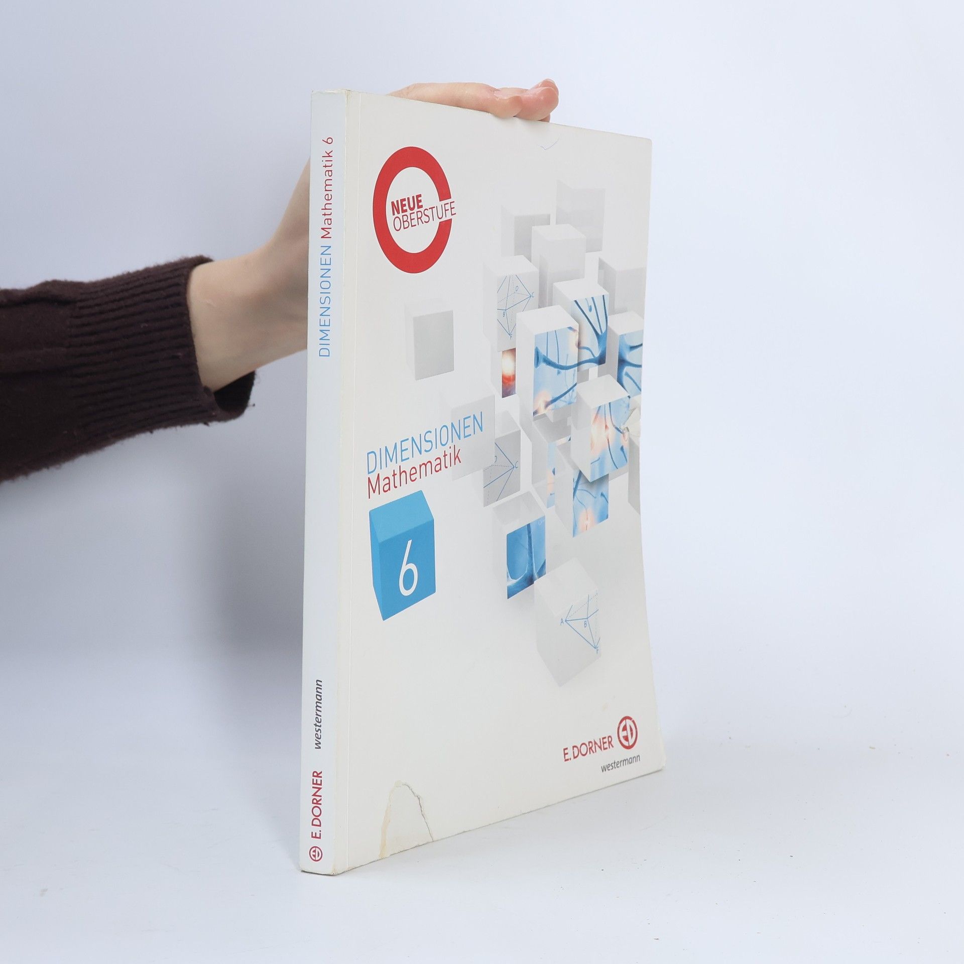 Auteurscollectief Dimensionen, Mathematik 6, mit Technologie