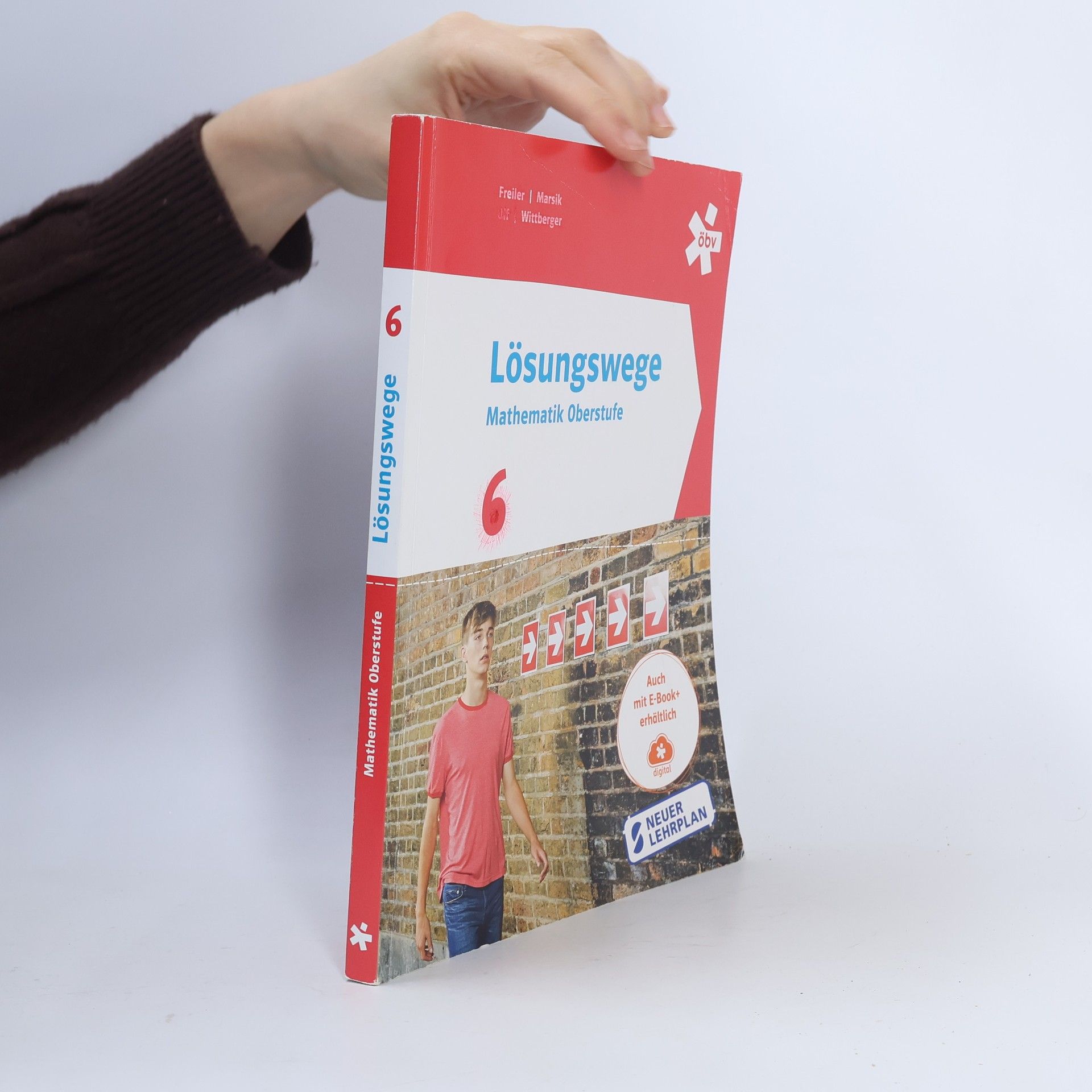 Auteurscollectief Lösungswege Mathematik Oberstufe 6