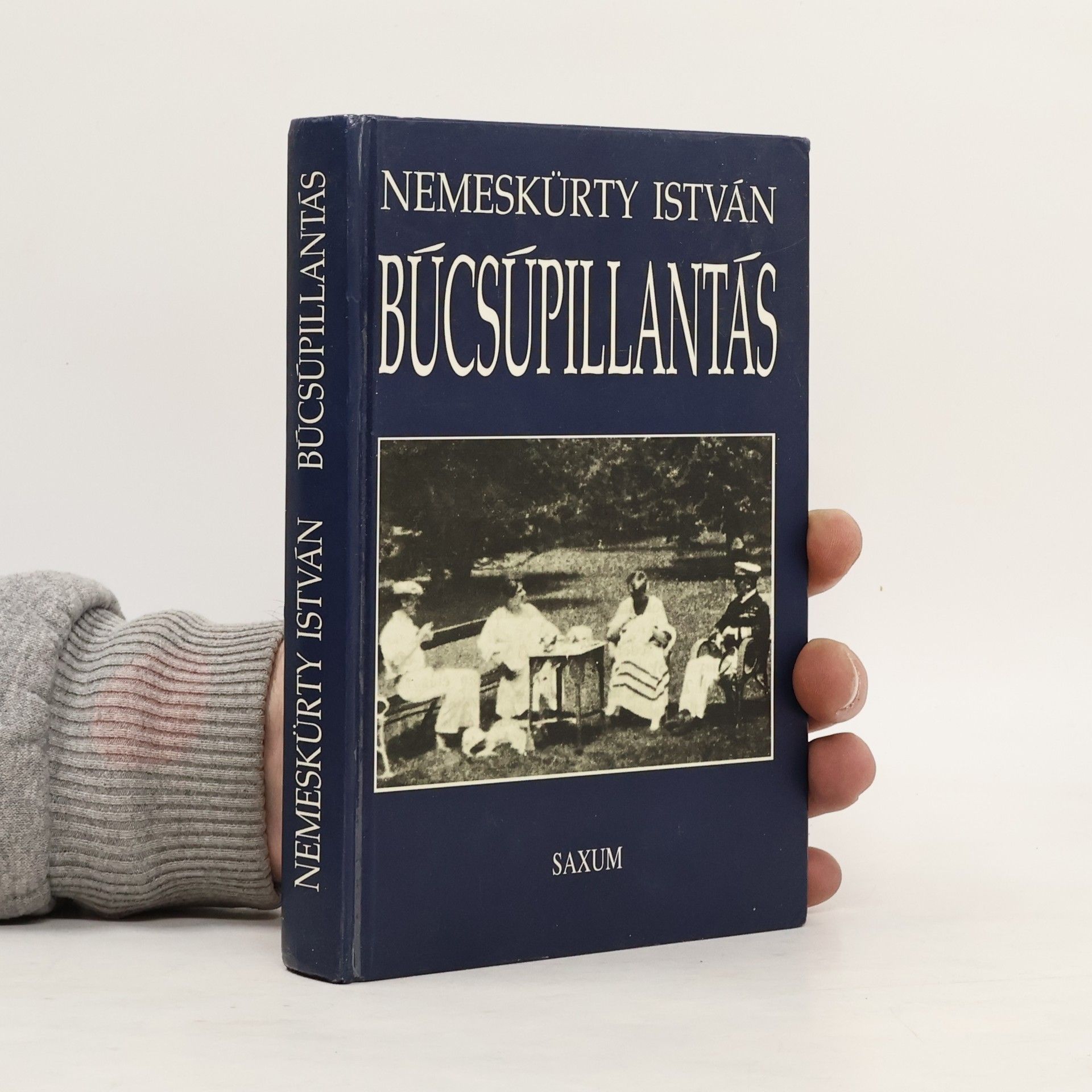 István Nemeskürty Búcsúpillantás