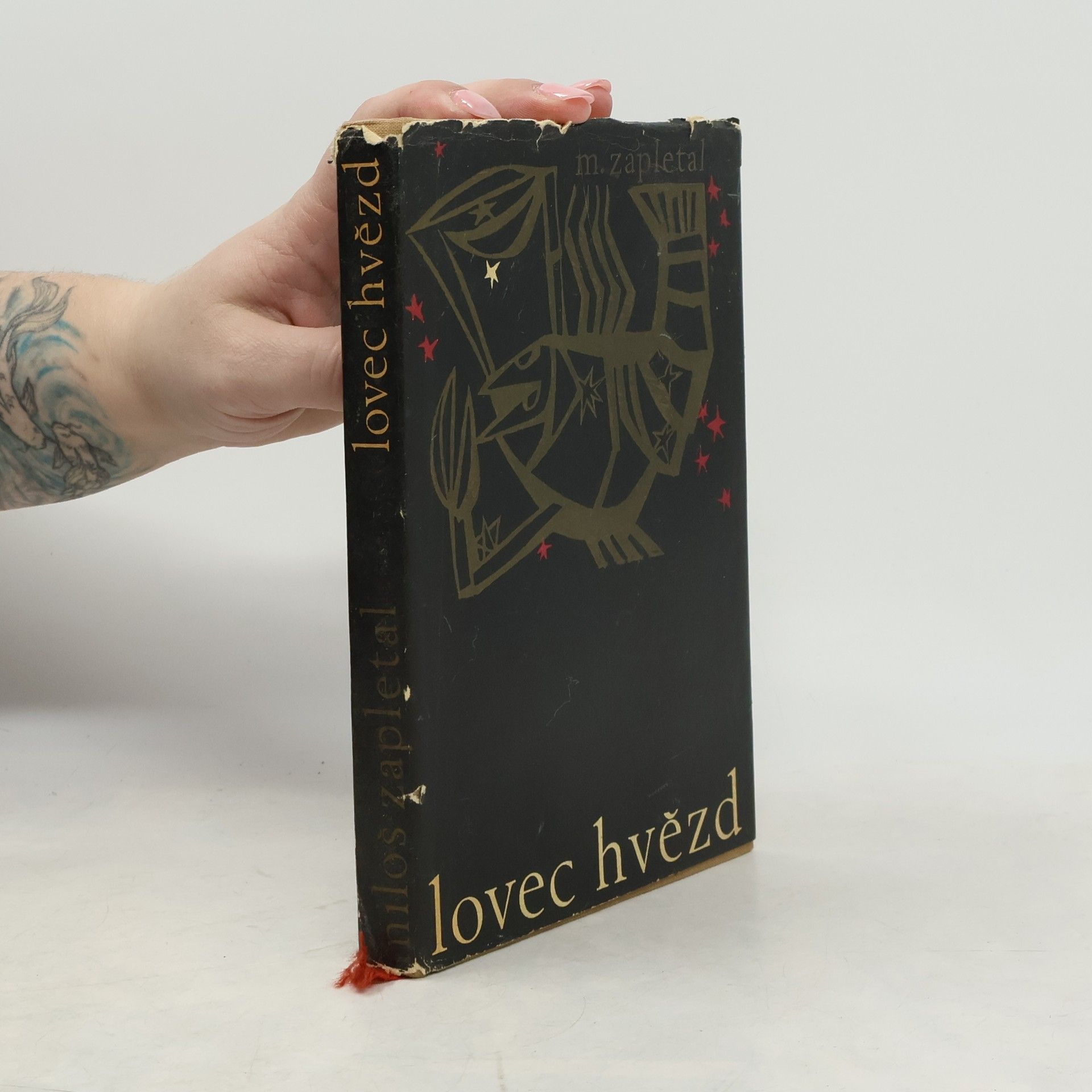 Miloš Zapletal Lovec hvězd