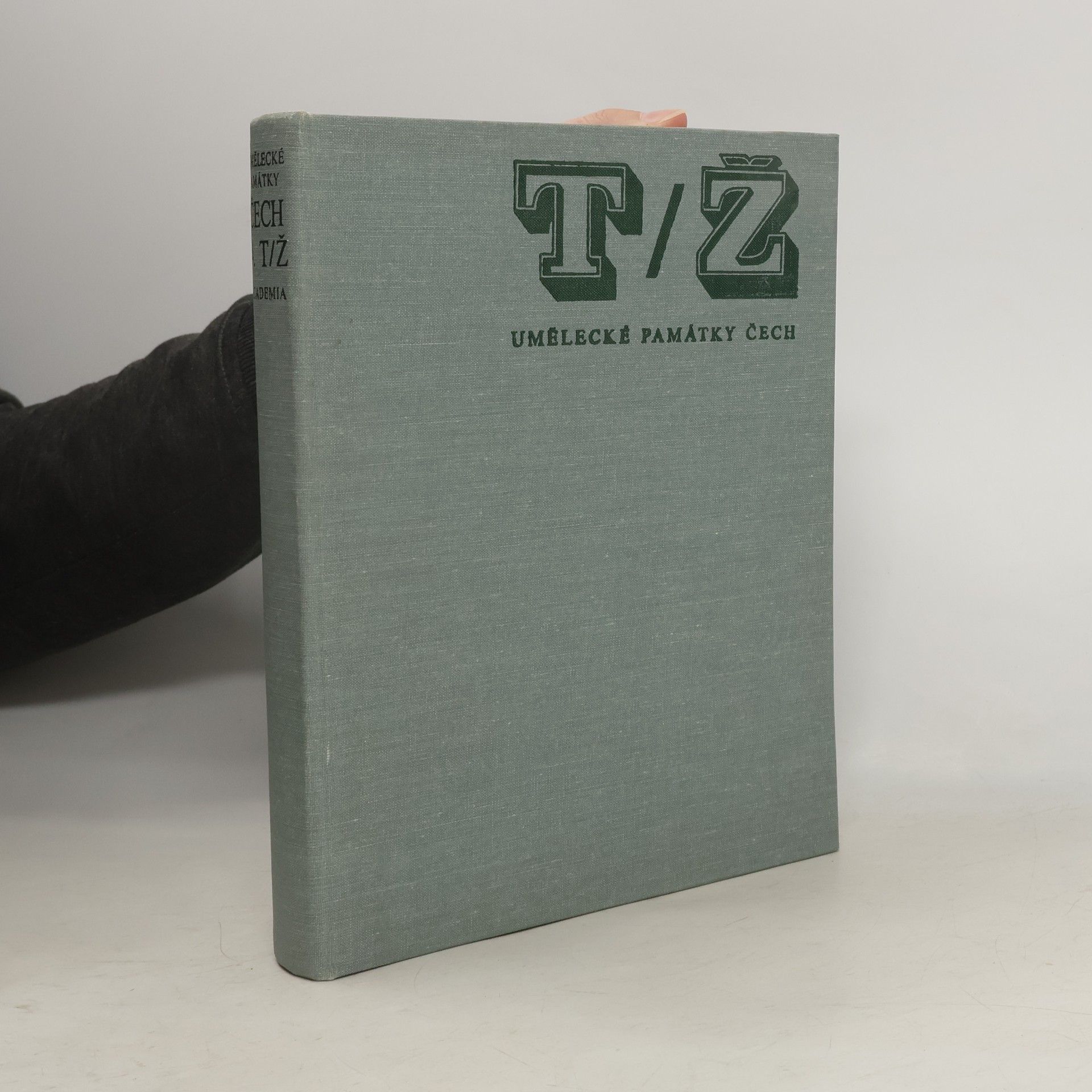 Kolektiv autorů Umělecké památky Čech 4 T-Ž
