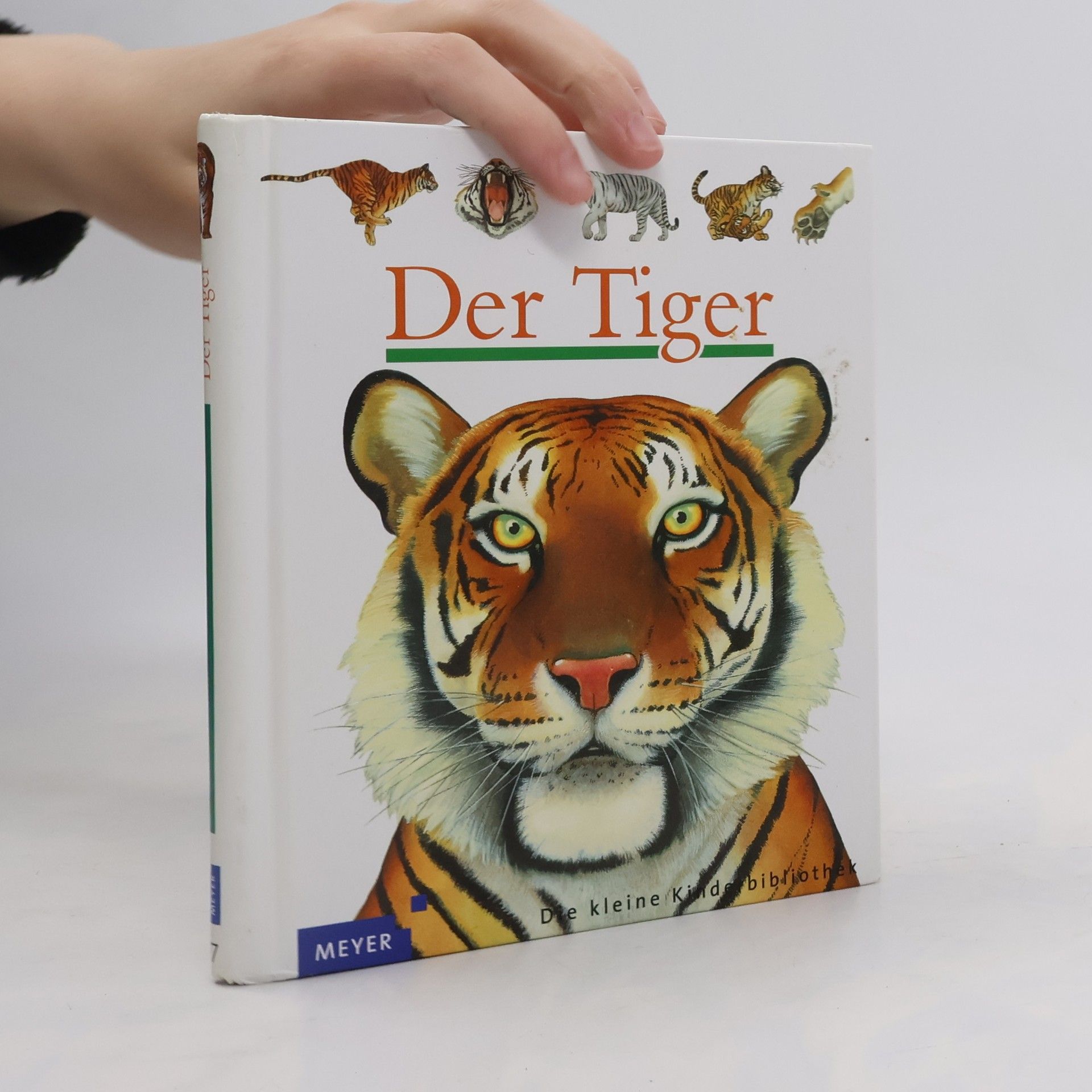 Der Tiger