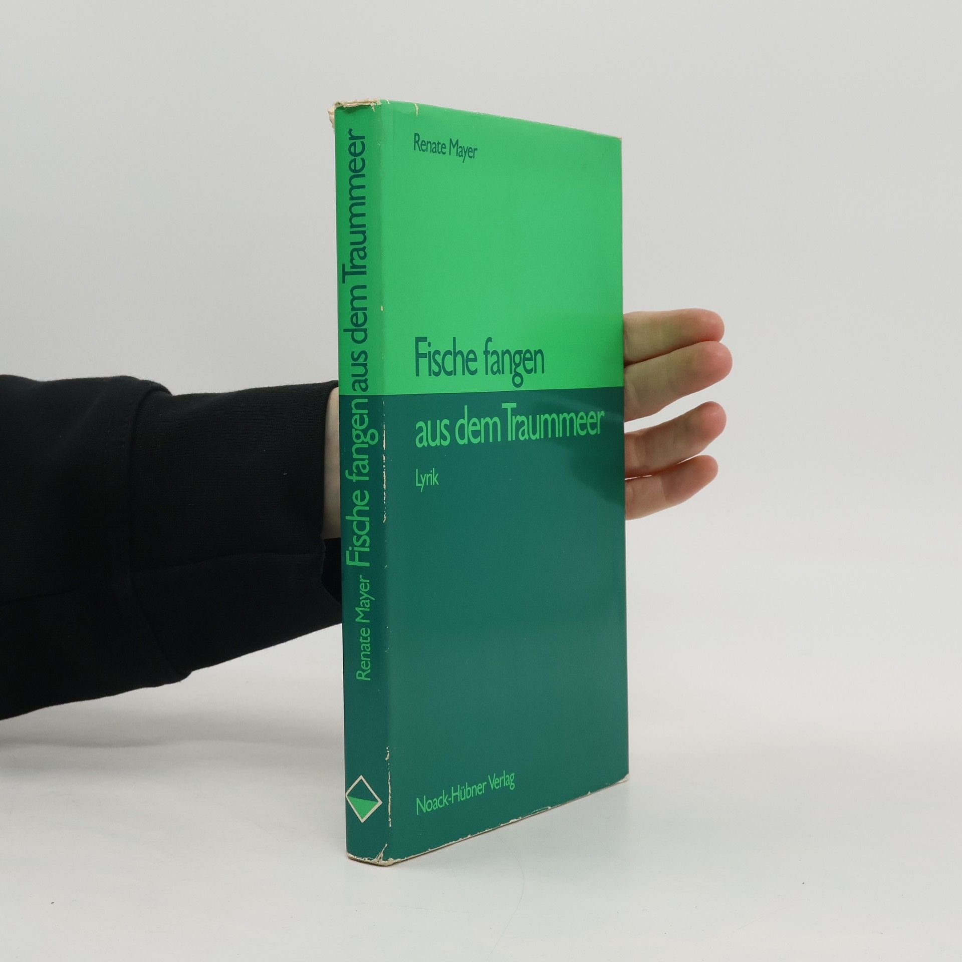 Fische fangen aus dem Traummeer