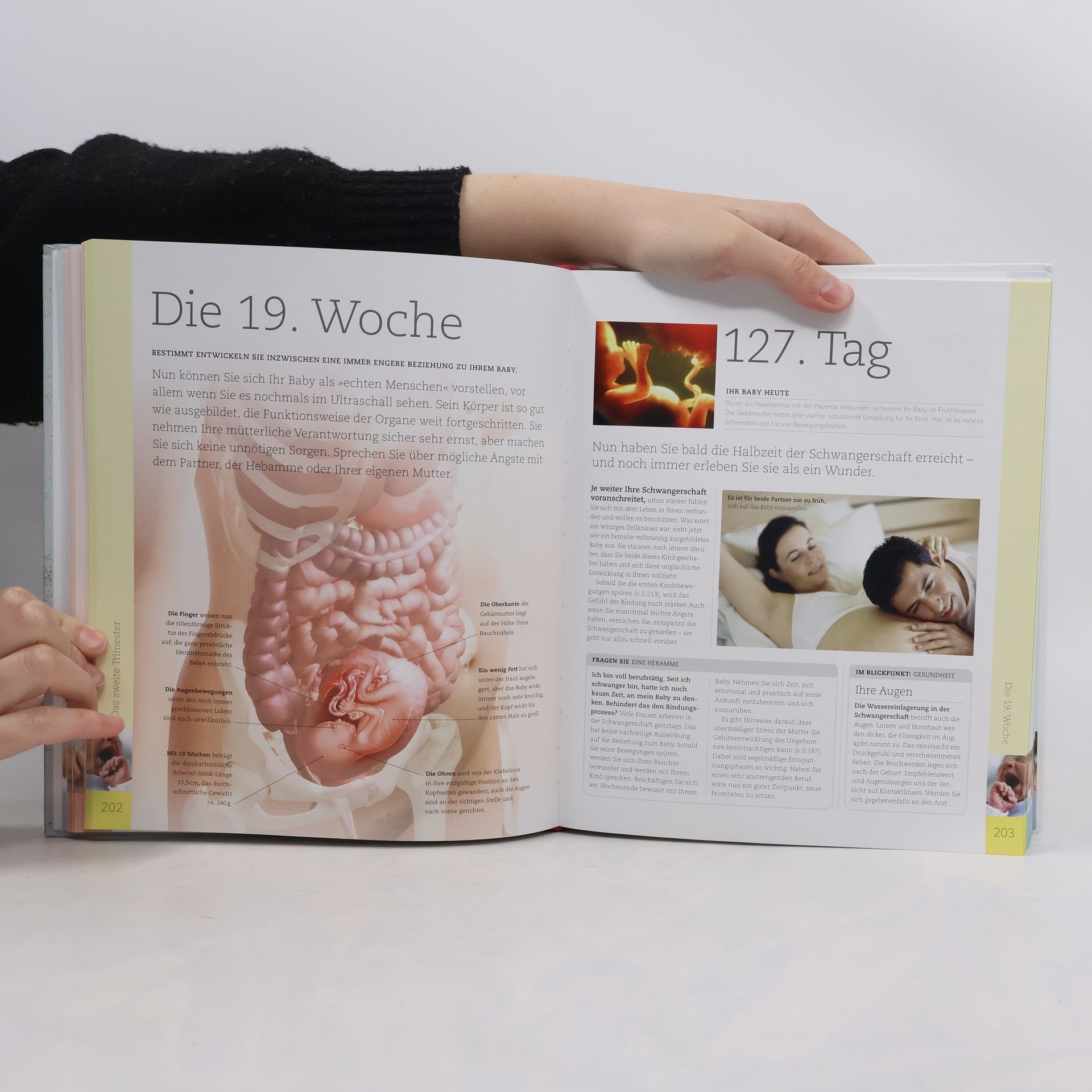Maggie Dr. Blott Alles über meine Schwangerschaft Tag für Tag
