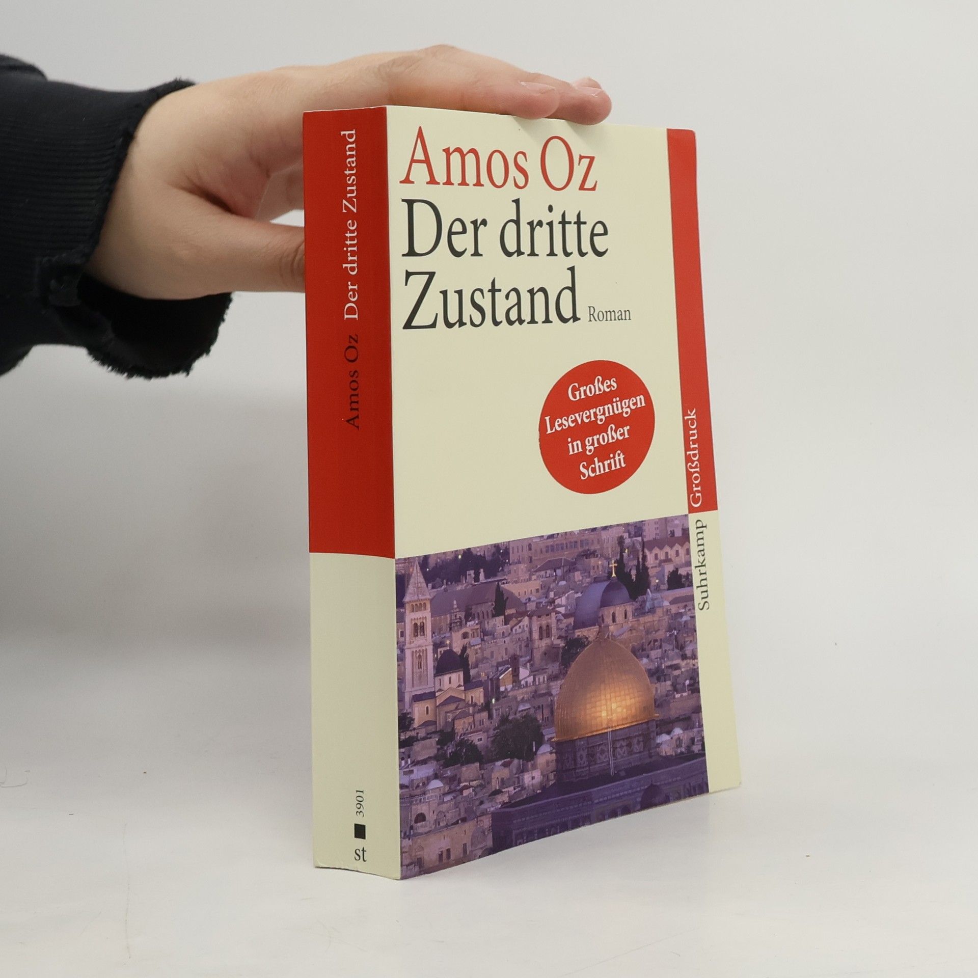 Amos Oz Suhrkamp Taschenbuch: Der dritte Zustand