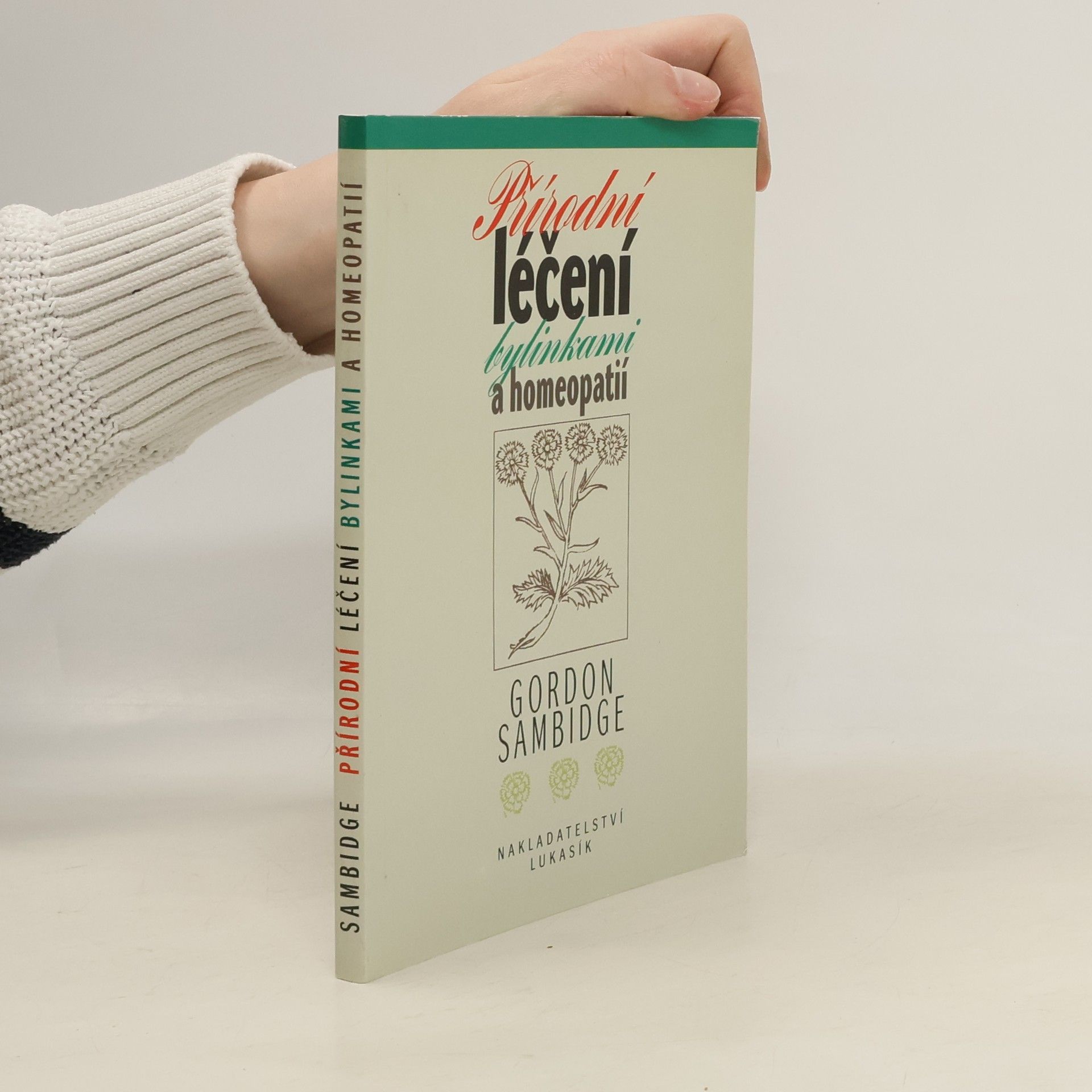 Gordon Sambidge Přírodní léčení bylinkami a homeopatií