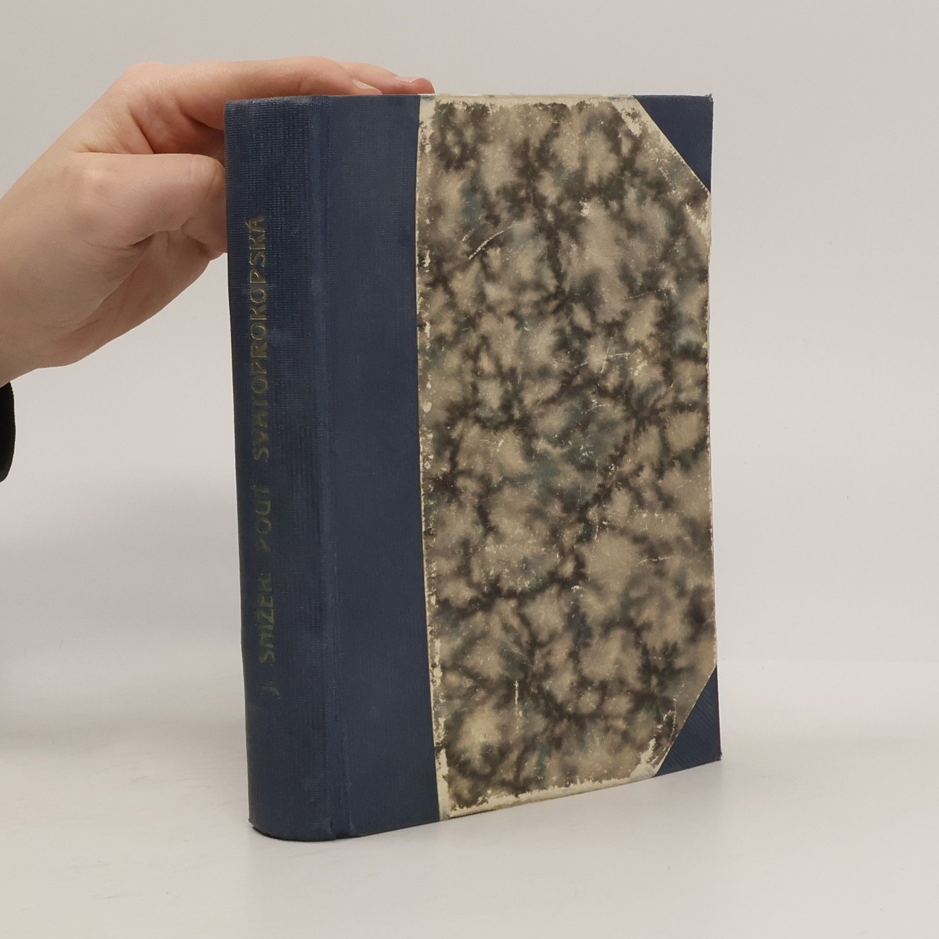 Jindřich Snížek Pouť svatoprokopská