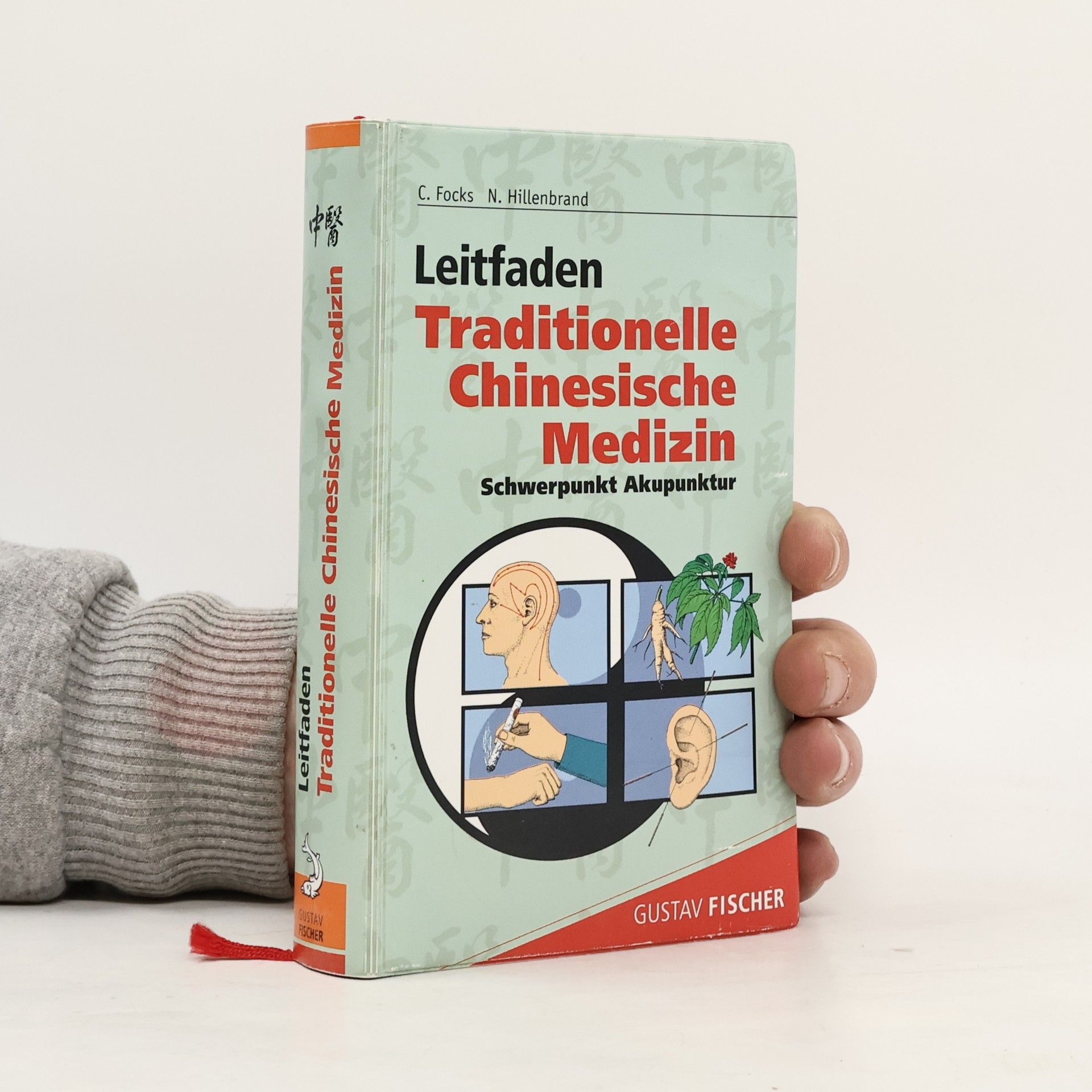 Claudia Focks Leitfaden traditionelle chinesische Medizin