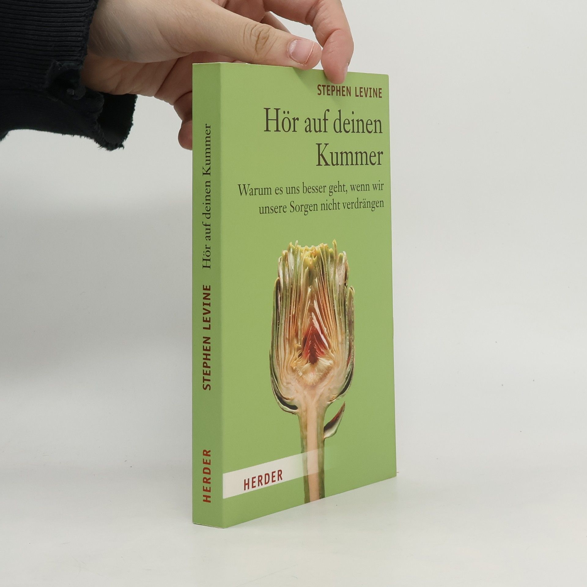 Stephen Levine Hör auf deinen Kummer