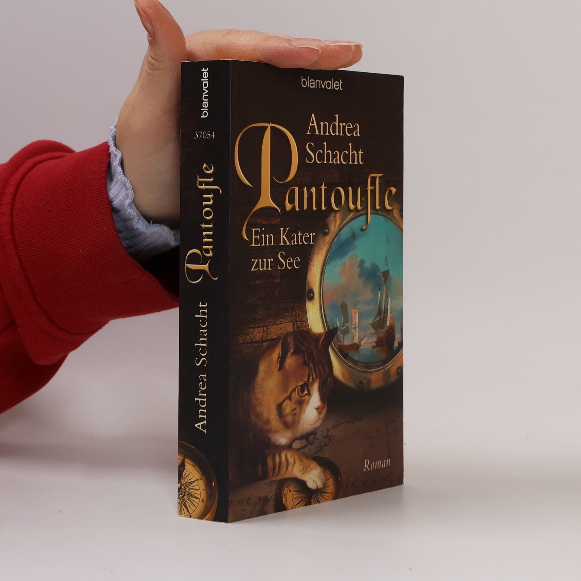 Andrea Schacht Pantoufle - Ein Kater zur See. Roman