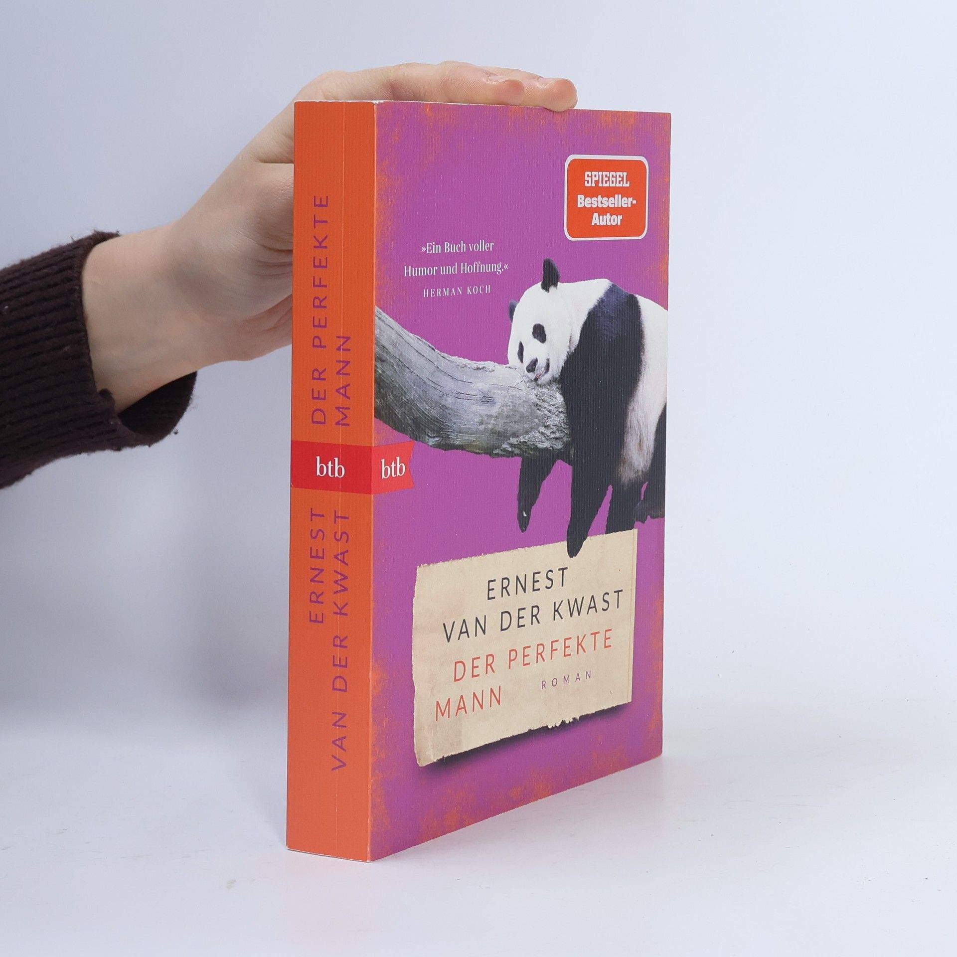 Ernest van der Kwast Der perfekte Mann