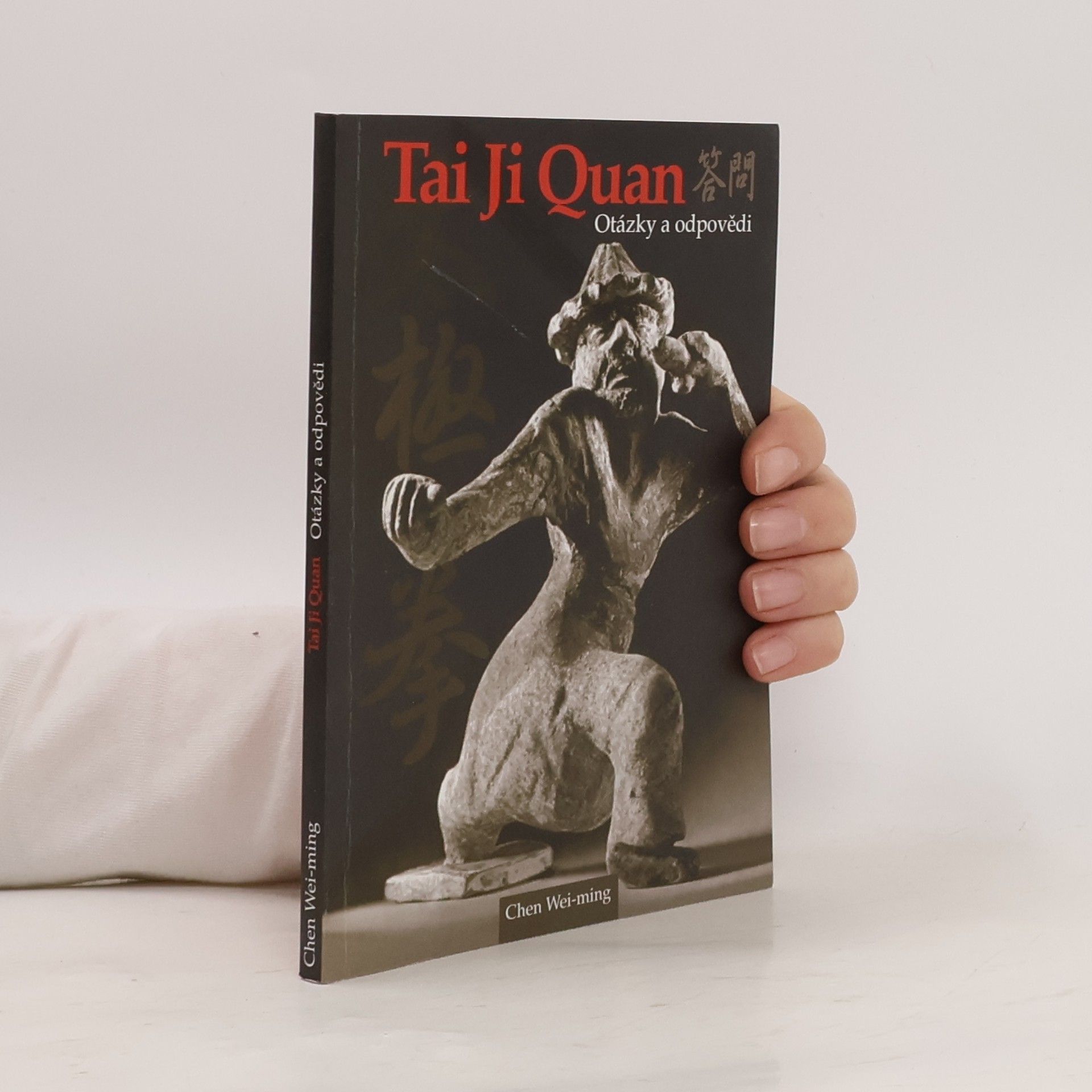 Wei ming Chen Tai Ji Quan. Otázky a odpovědi