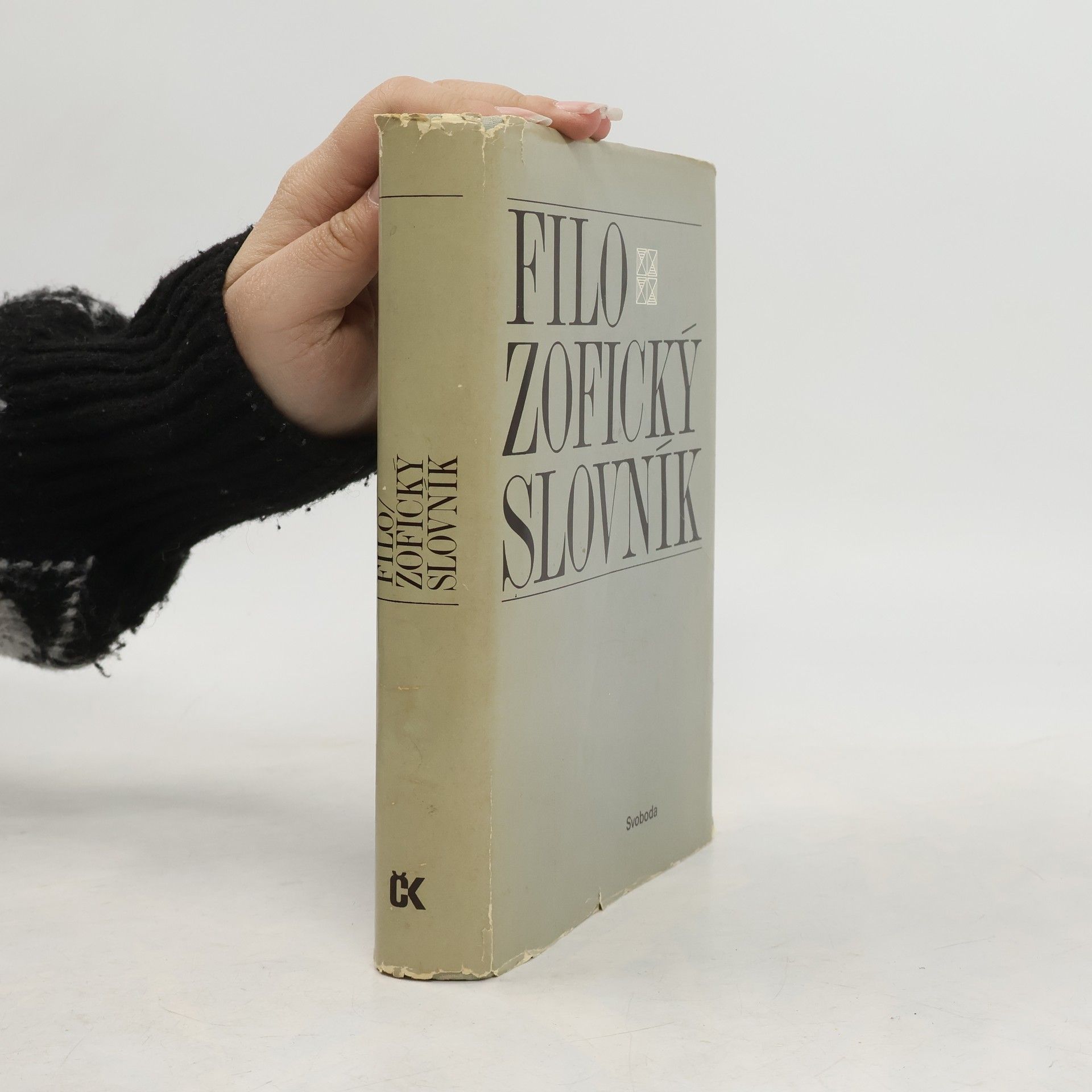 Autorenkollektiv Filozofický slovník