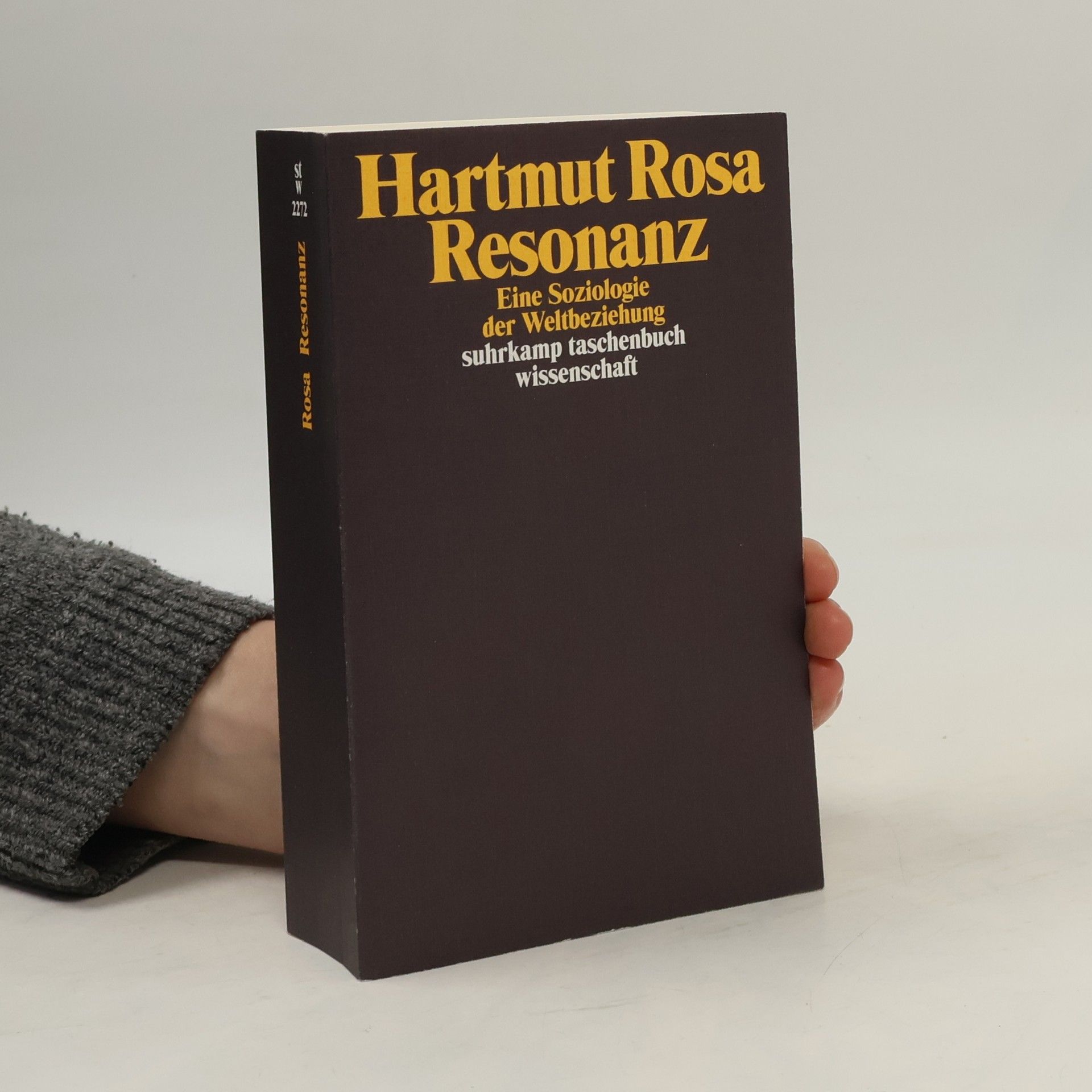 Hartmut Rosa Resonanz