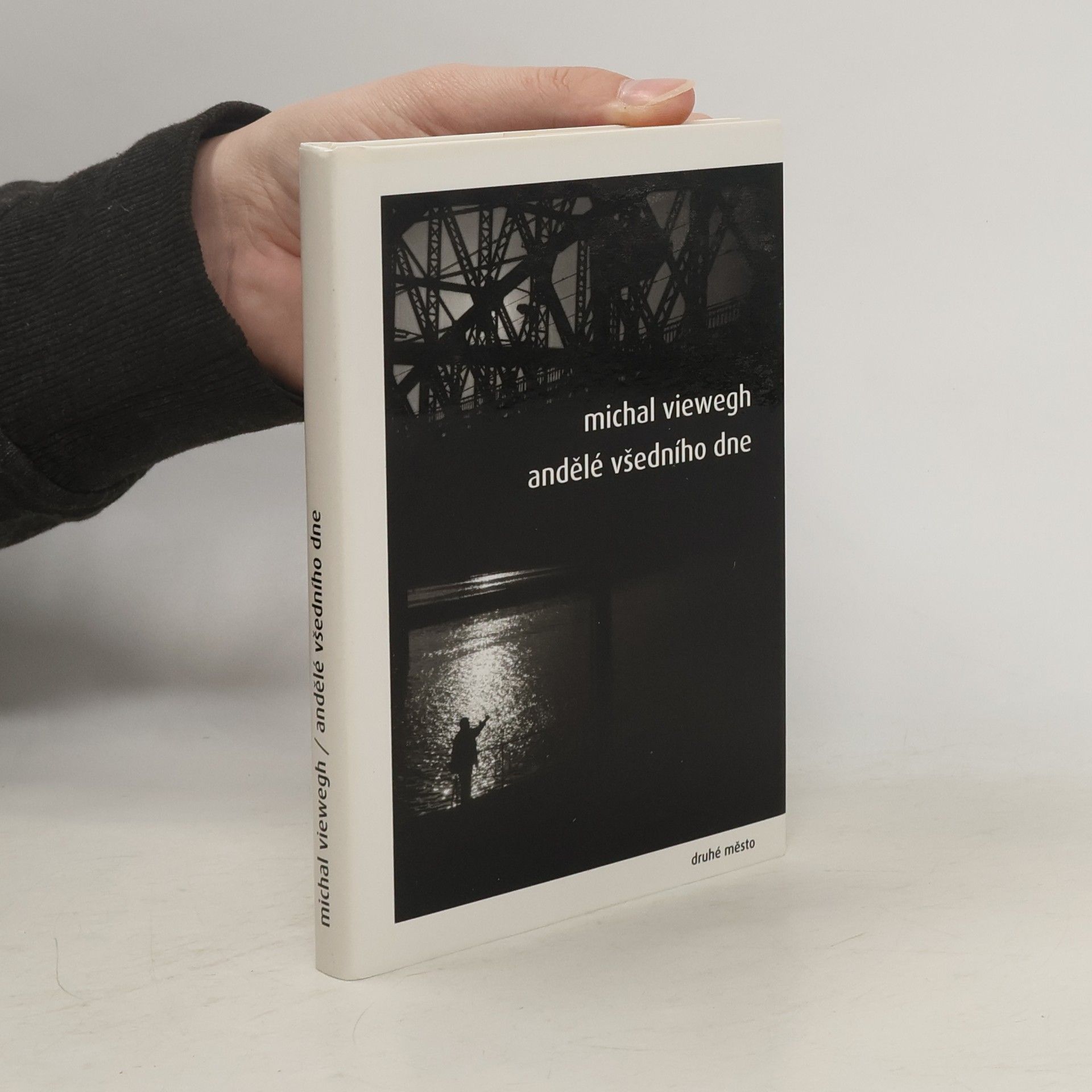 Michal Viewegh Andělé všedního dne