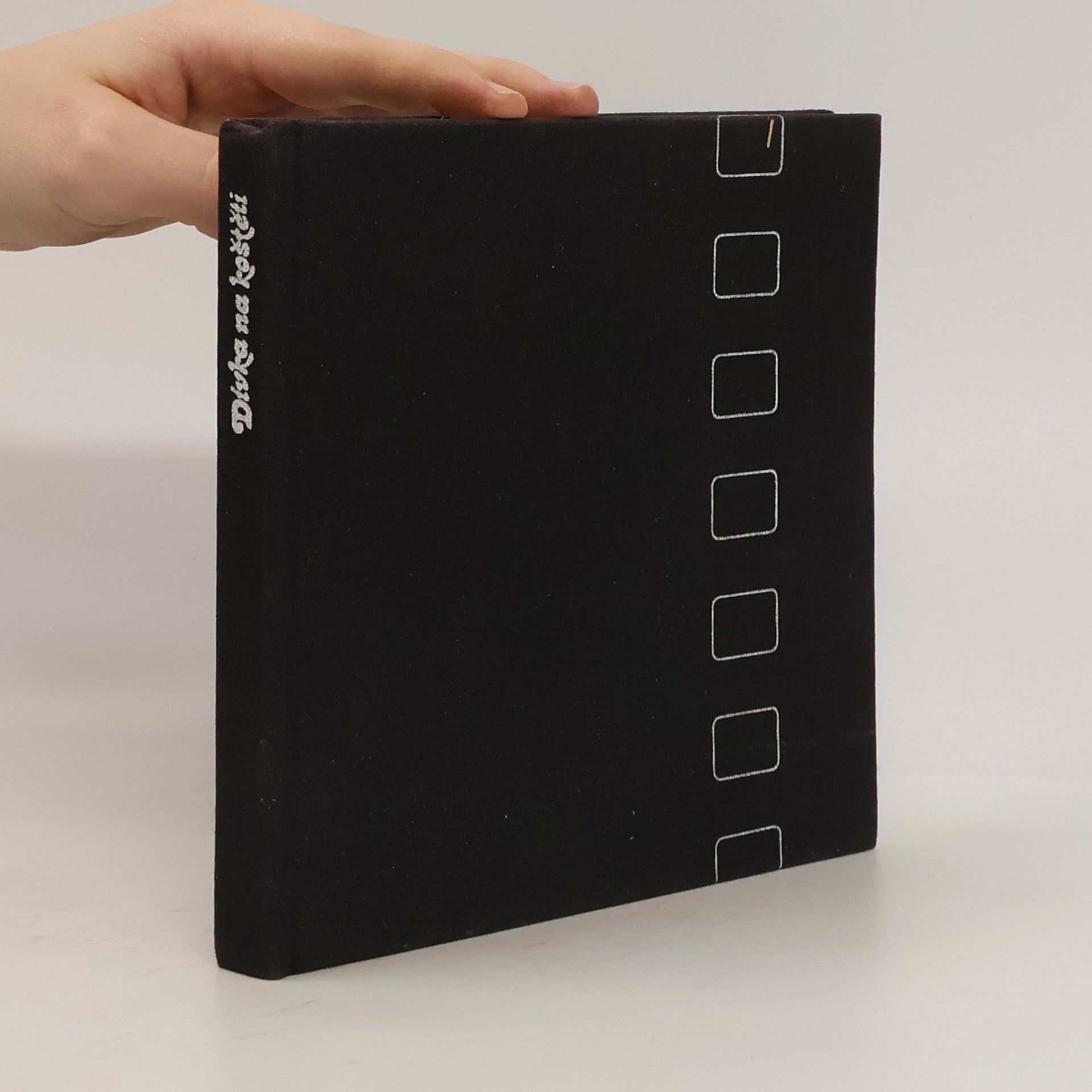 Hermína Franková Dívka na koštěti