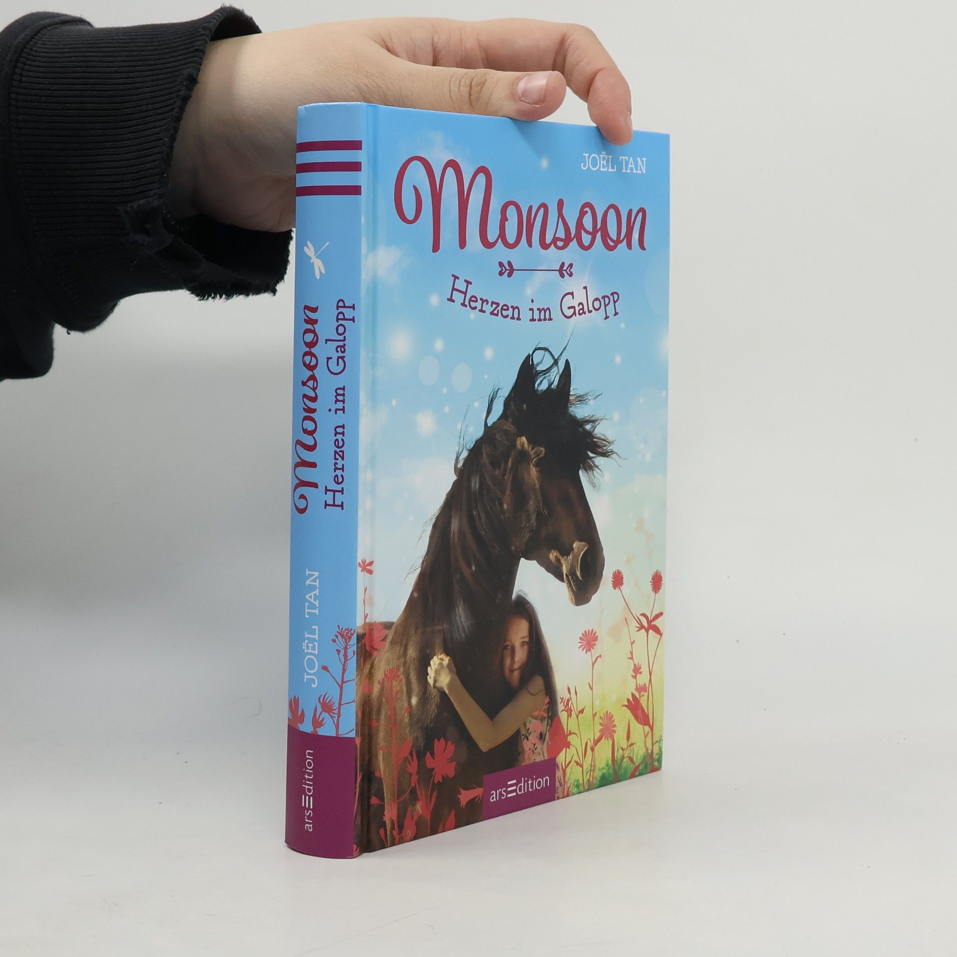 Joël Tan Monsoon – Herzen im Galopp (Monsoon 2)