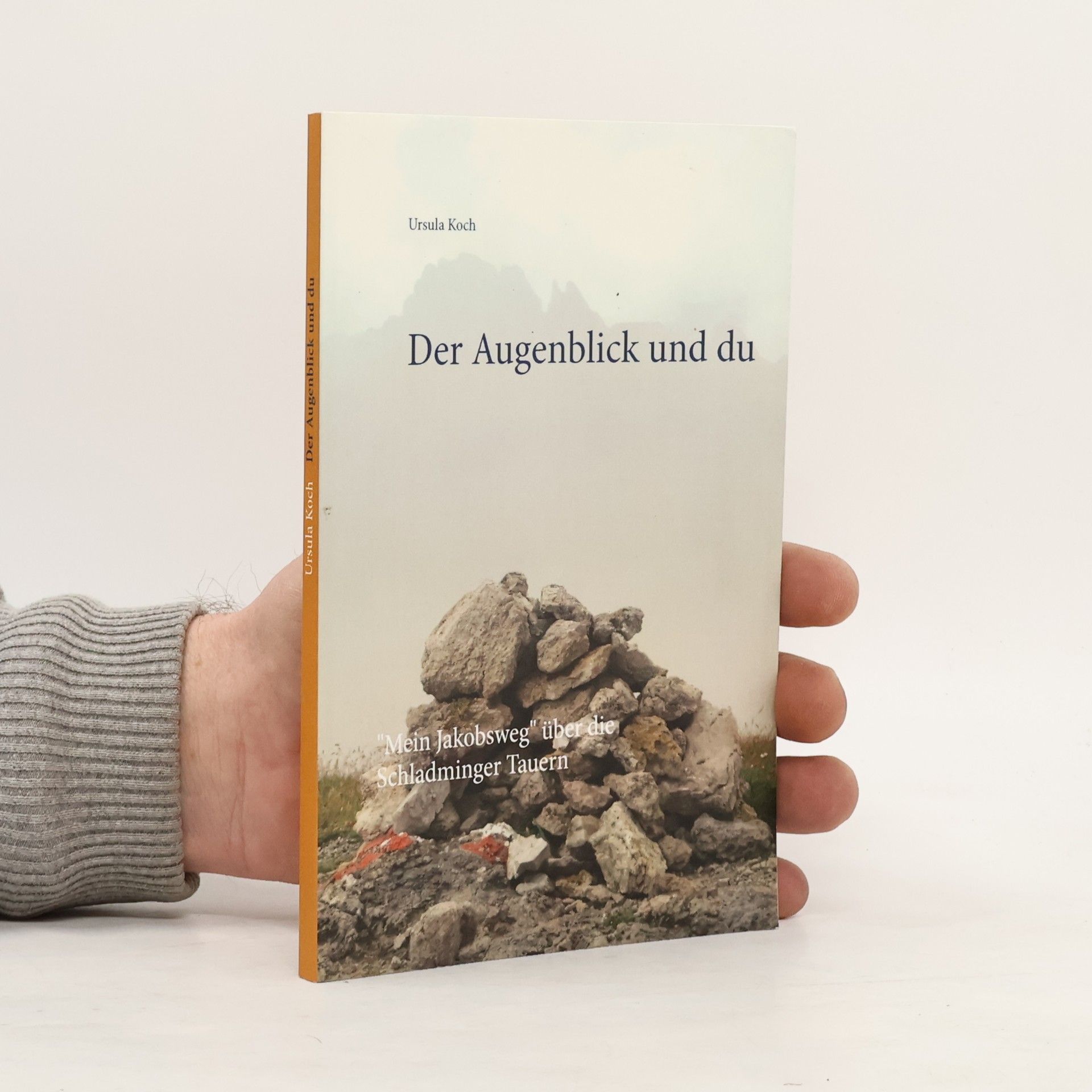 Ursula Koch Der Augenblick und du