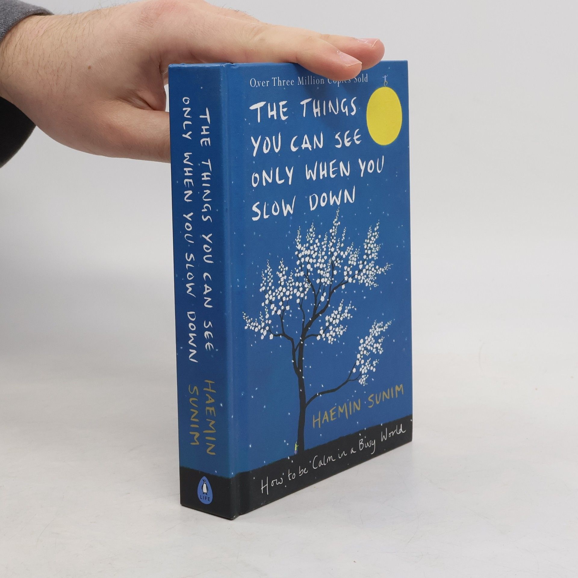 Hjemun The things you can see only when you slow down : how to be calm in a busy world