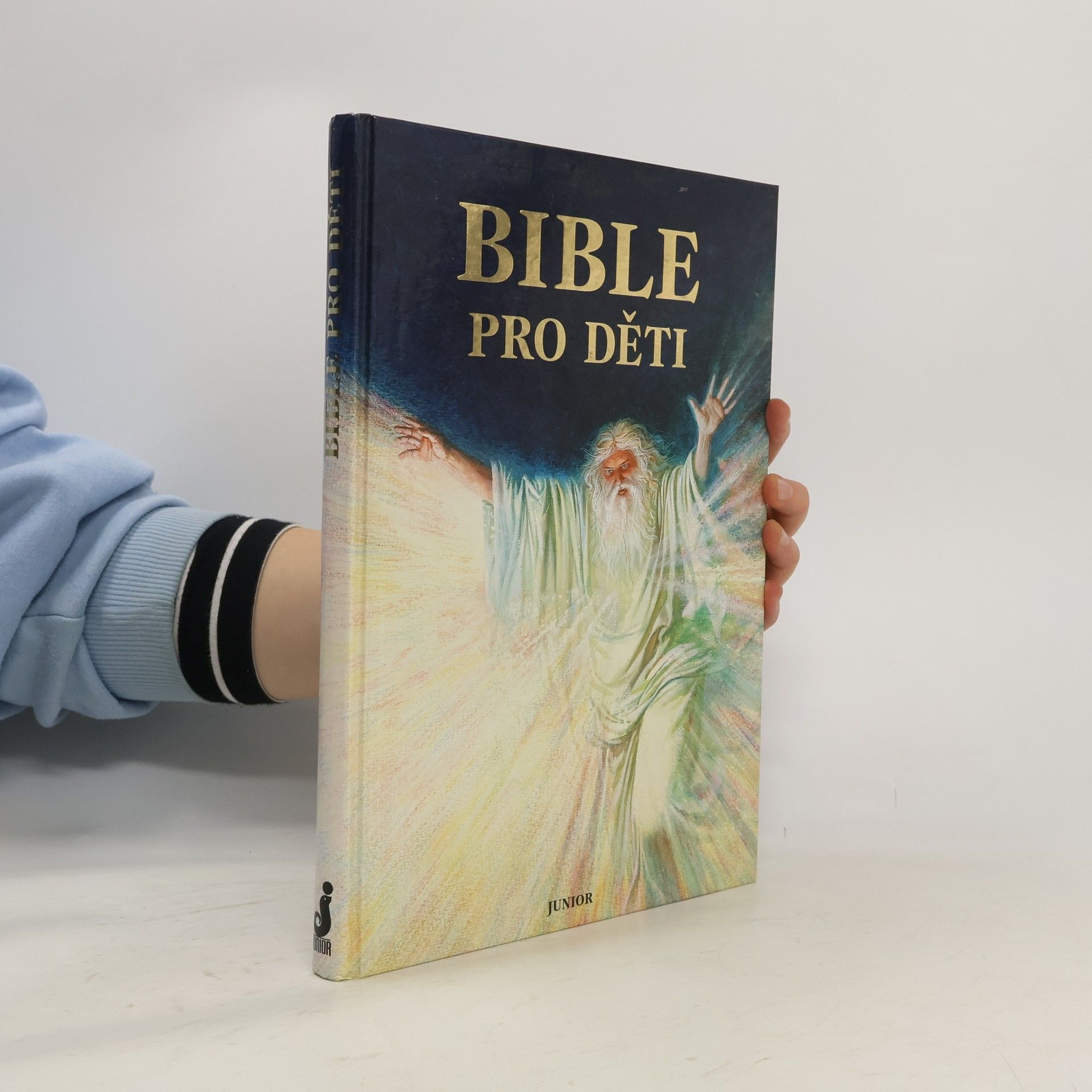 Hana Kašparovská Bible pro děti