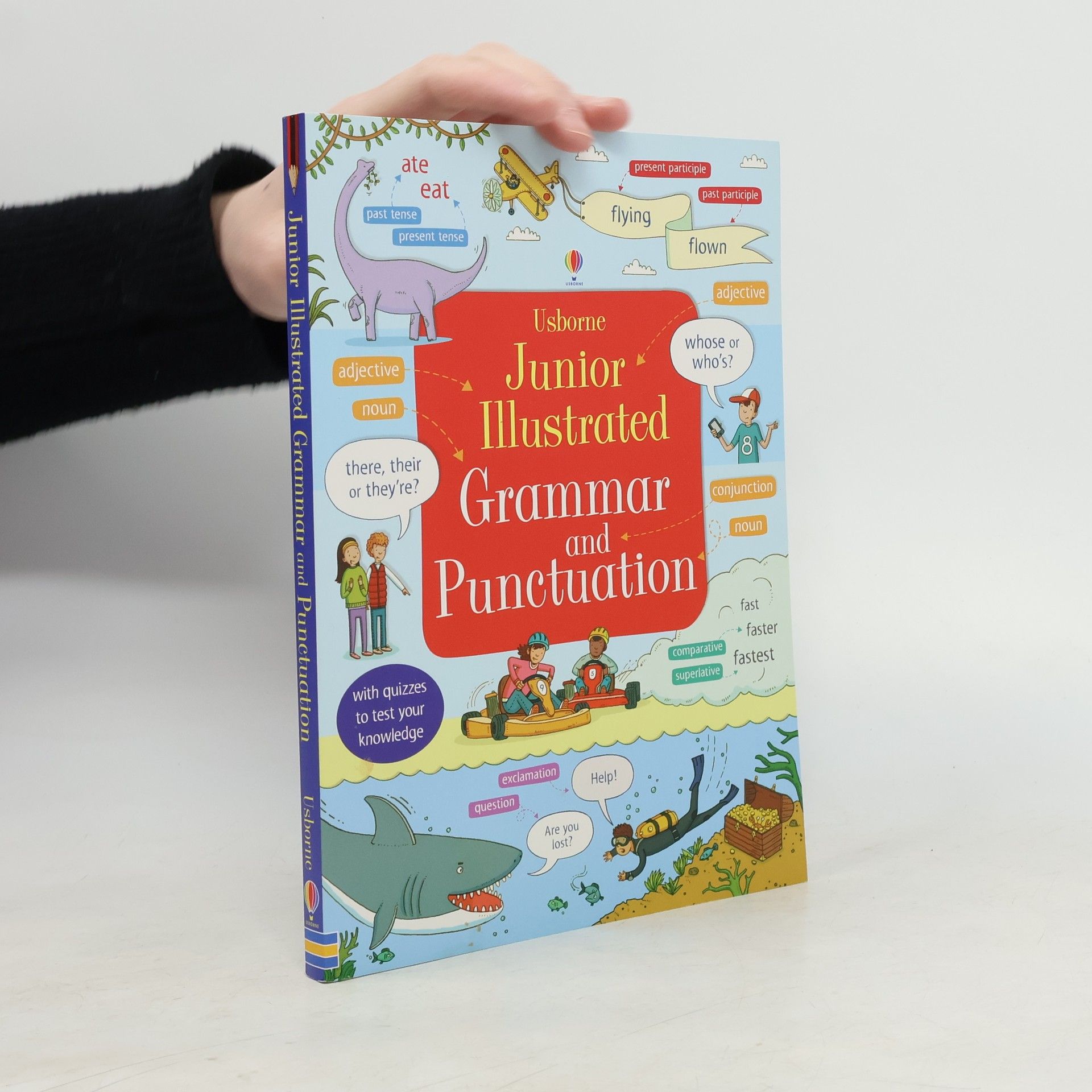 Jane Bingham Junior Illustrated Grammar and Punctuation