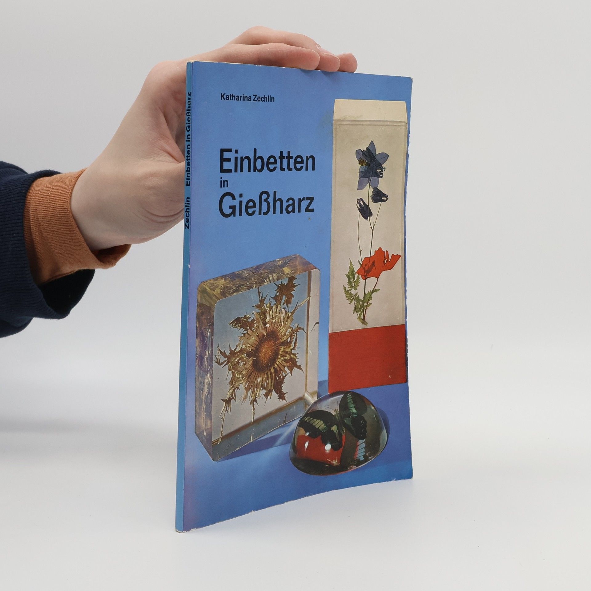 Katharina Zechlin Einbetten in Giessharz