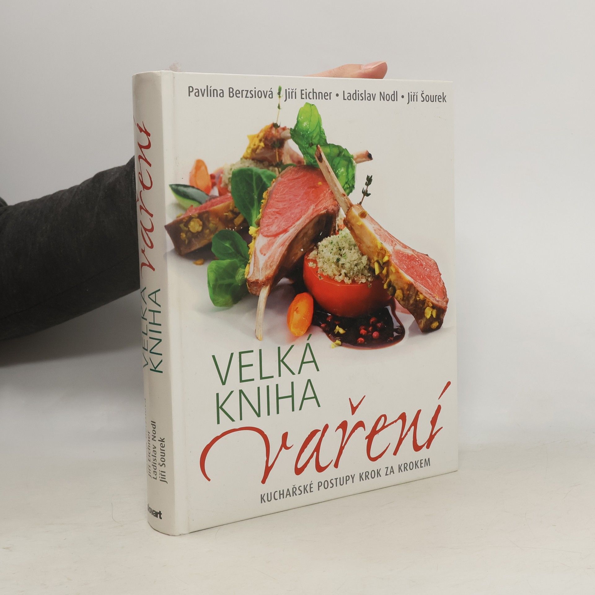 Autores varios Velká kniha vaření