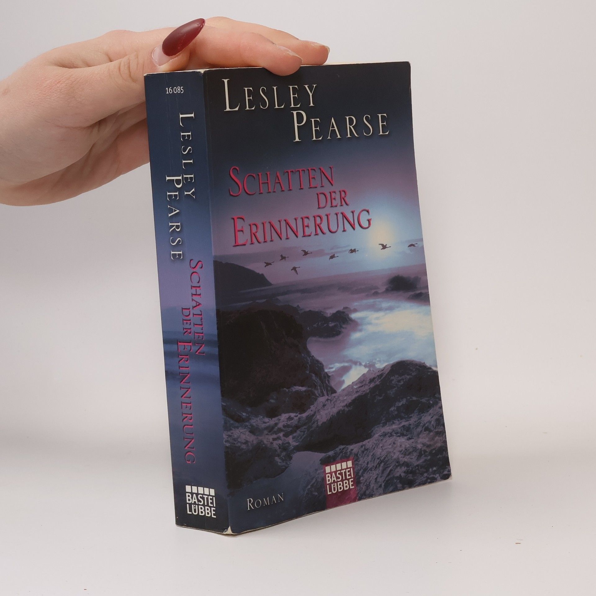 Lesley Pearse Schatten der Erinnerung