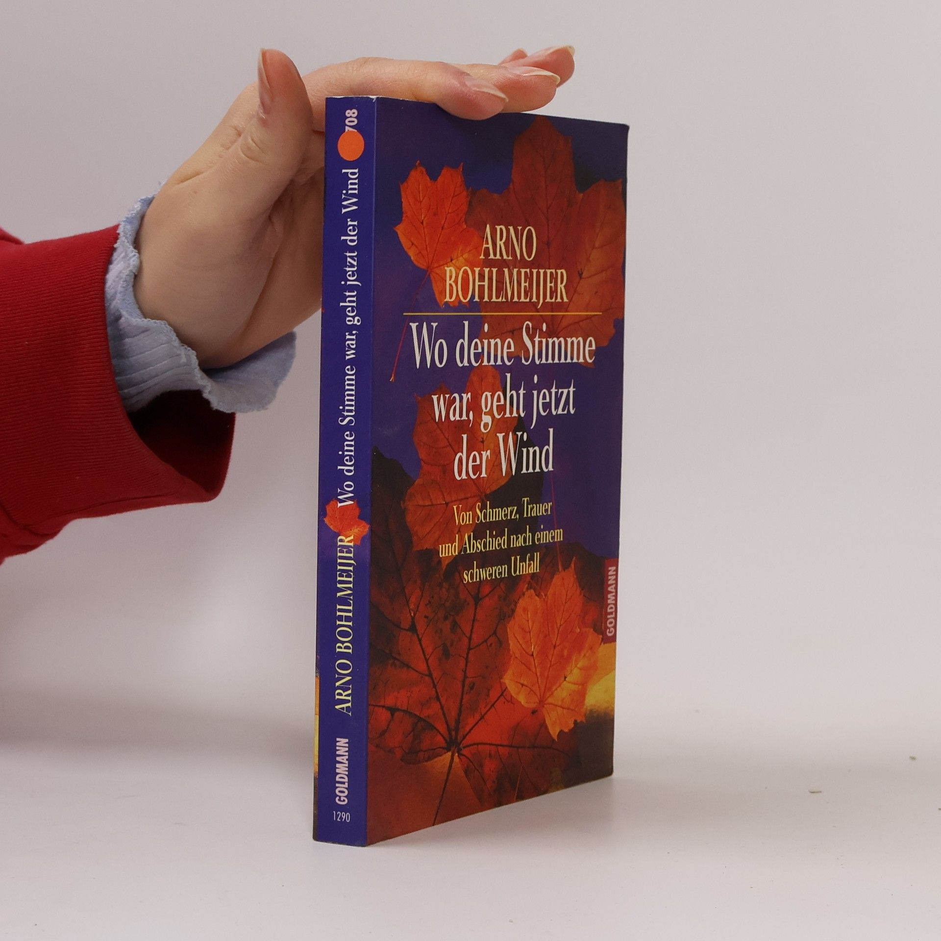 Arno Bohlmeijer Wo deine Stimme war, geht jetzt der Wind