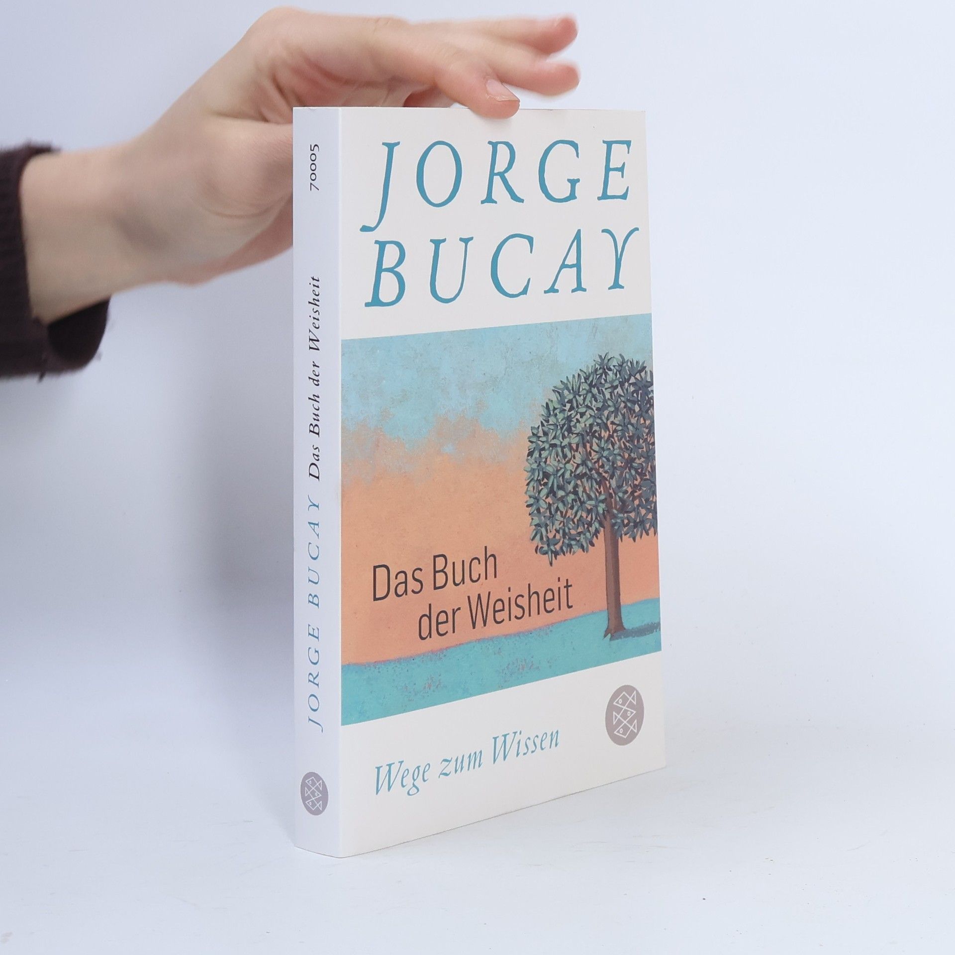 Jorge Bucay Das Buch der Weisheit