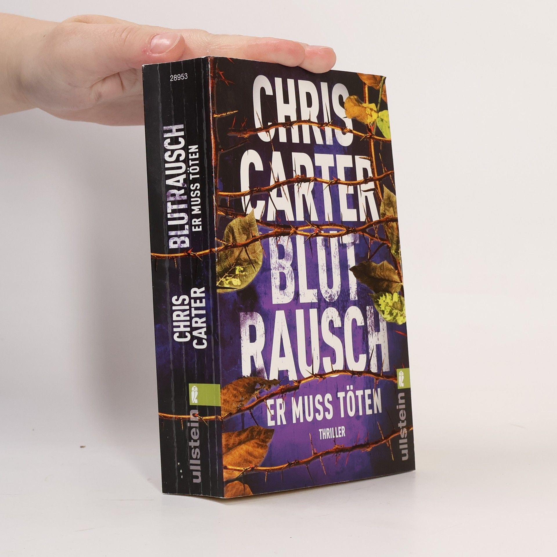 Chris Carter Blutrausch - Er muss töten