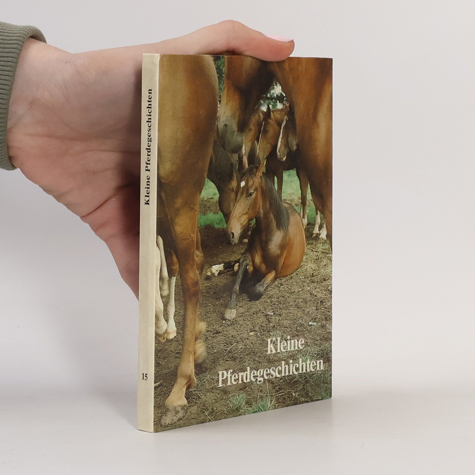 Kolektív autorov Kleine Pferdegeschichten