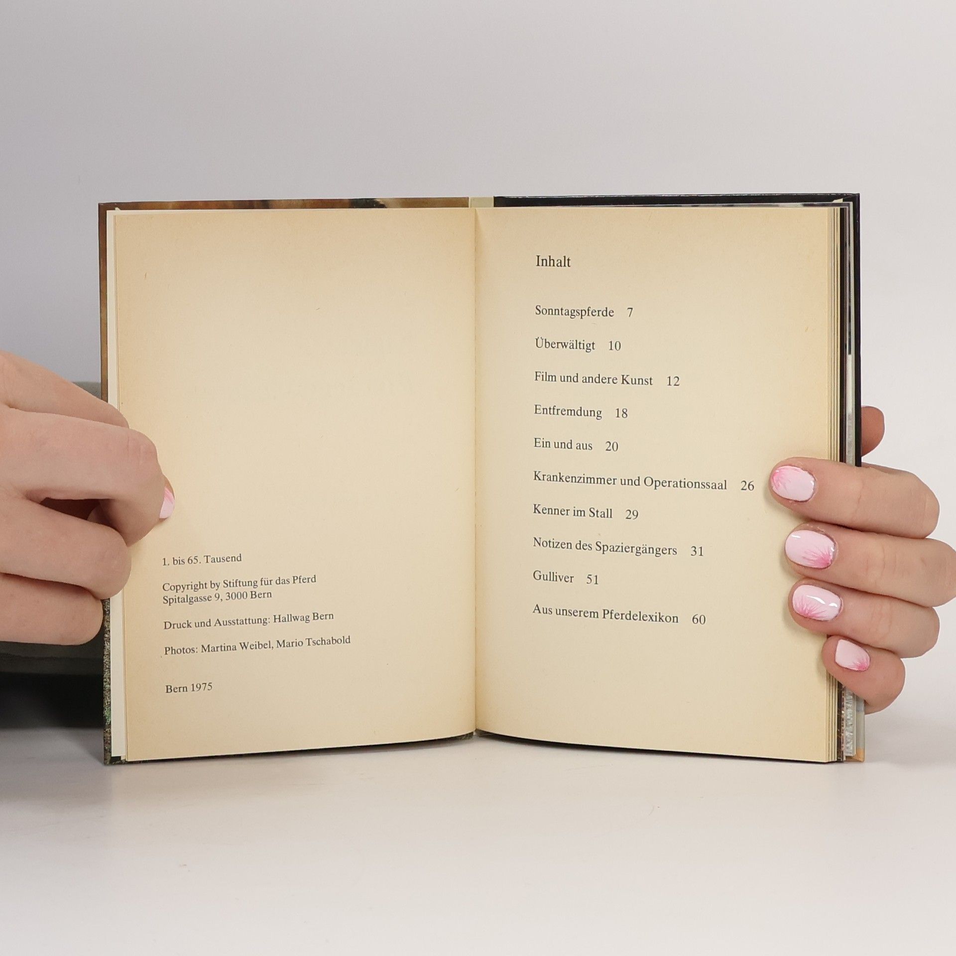 Autorenkollektiv Kleine Pferdegeschichten