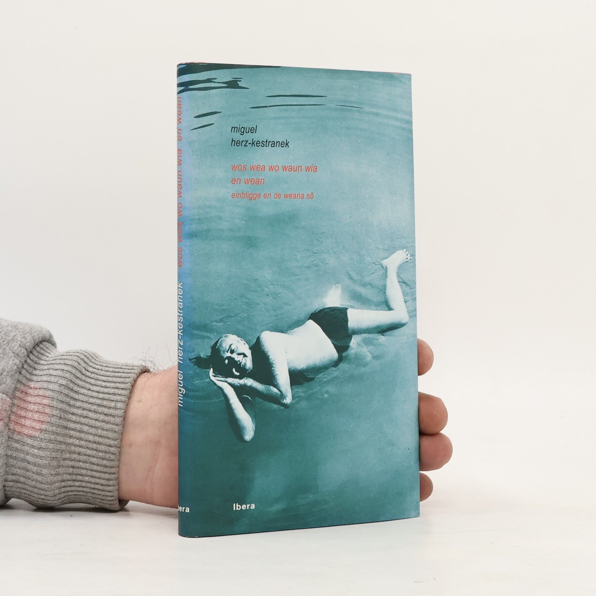 Wos wea wo waun wia en Wean. Einbligge en de Weana Sö