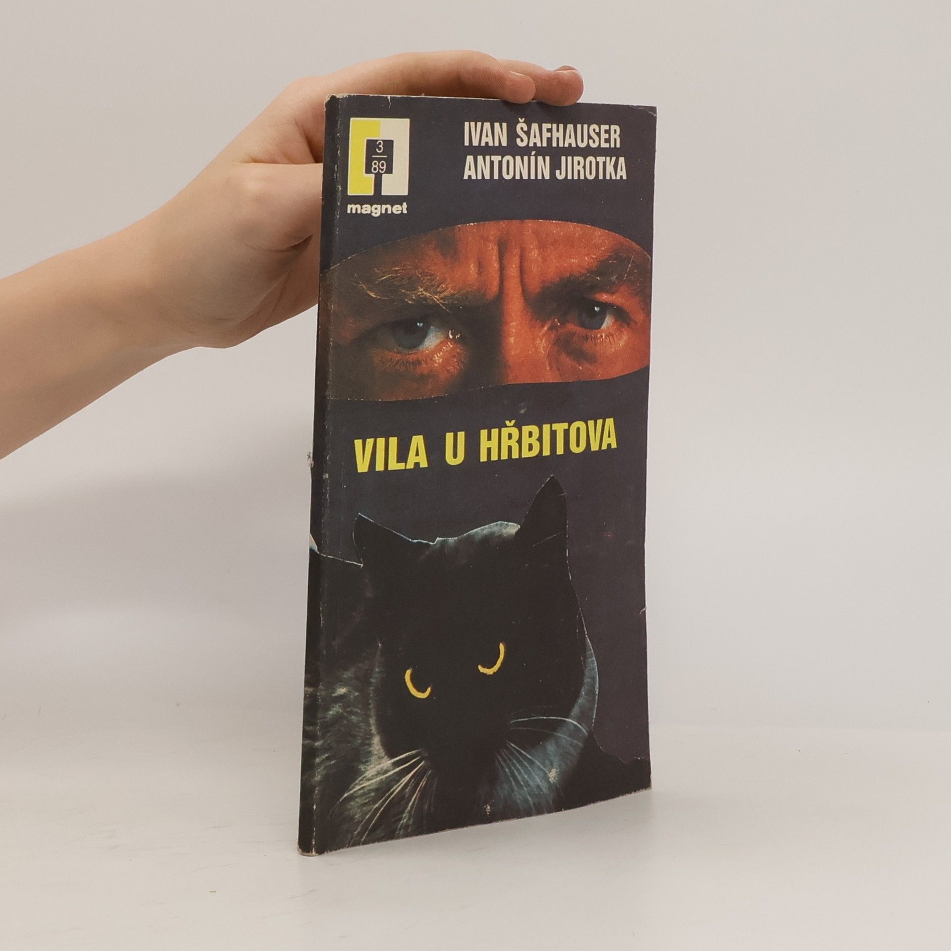 Ivan Šafhauser Vila u hřbitova